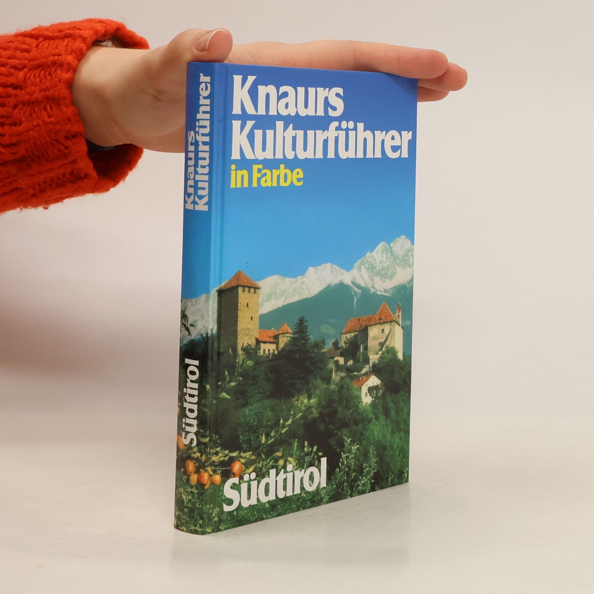 Klaus Bennewitz Knaurs Kulturführer in Farbe Südtirol