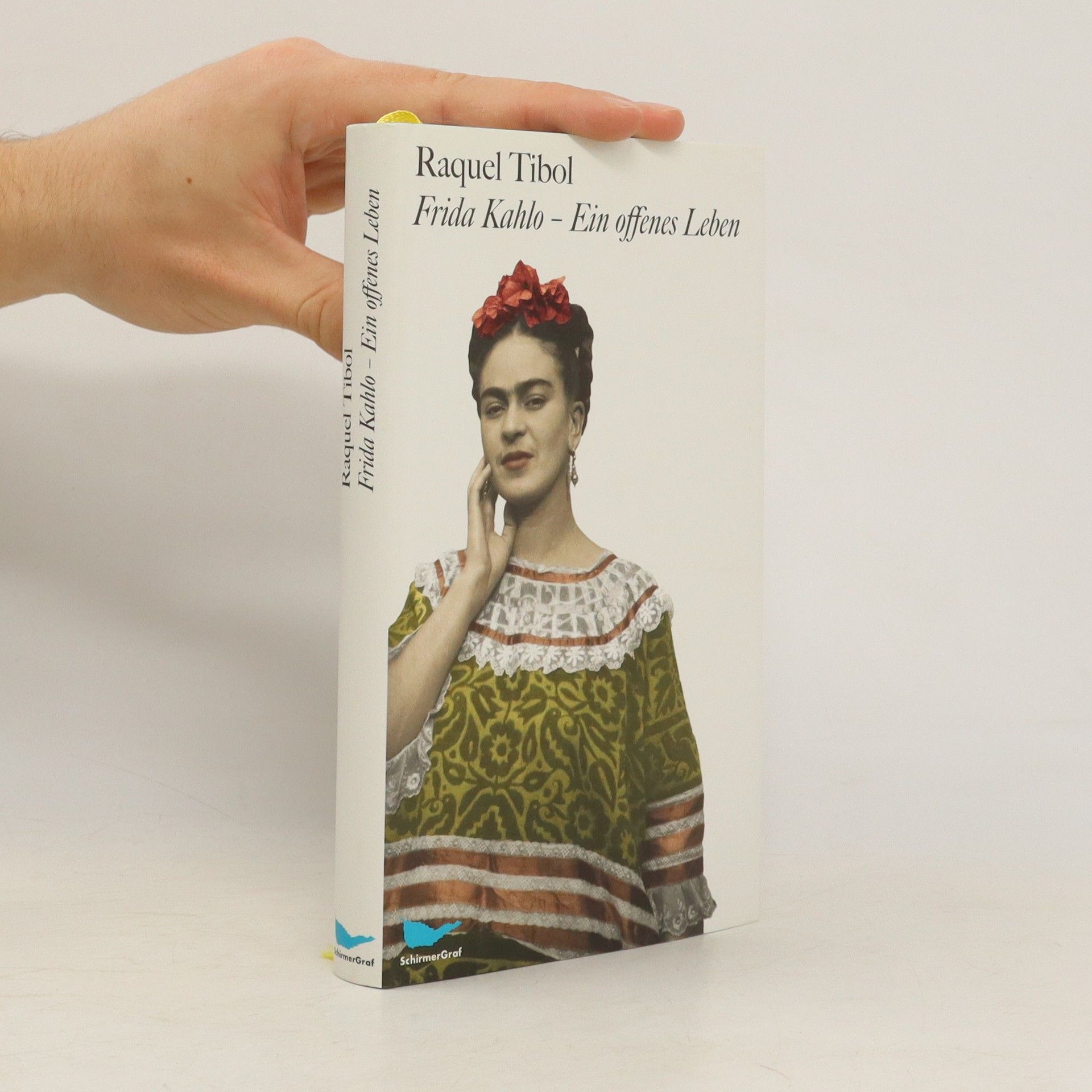 Raquel Tibol Frida Kahlo - ein offenes Leben
