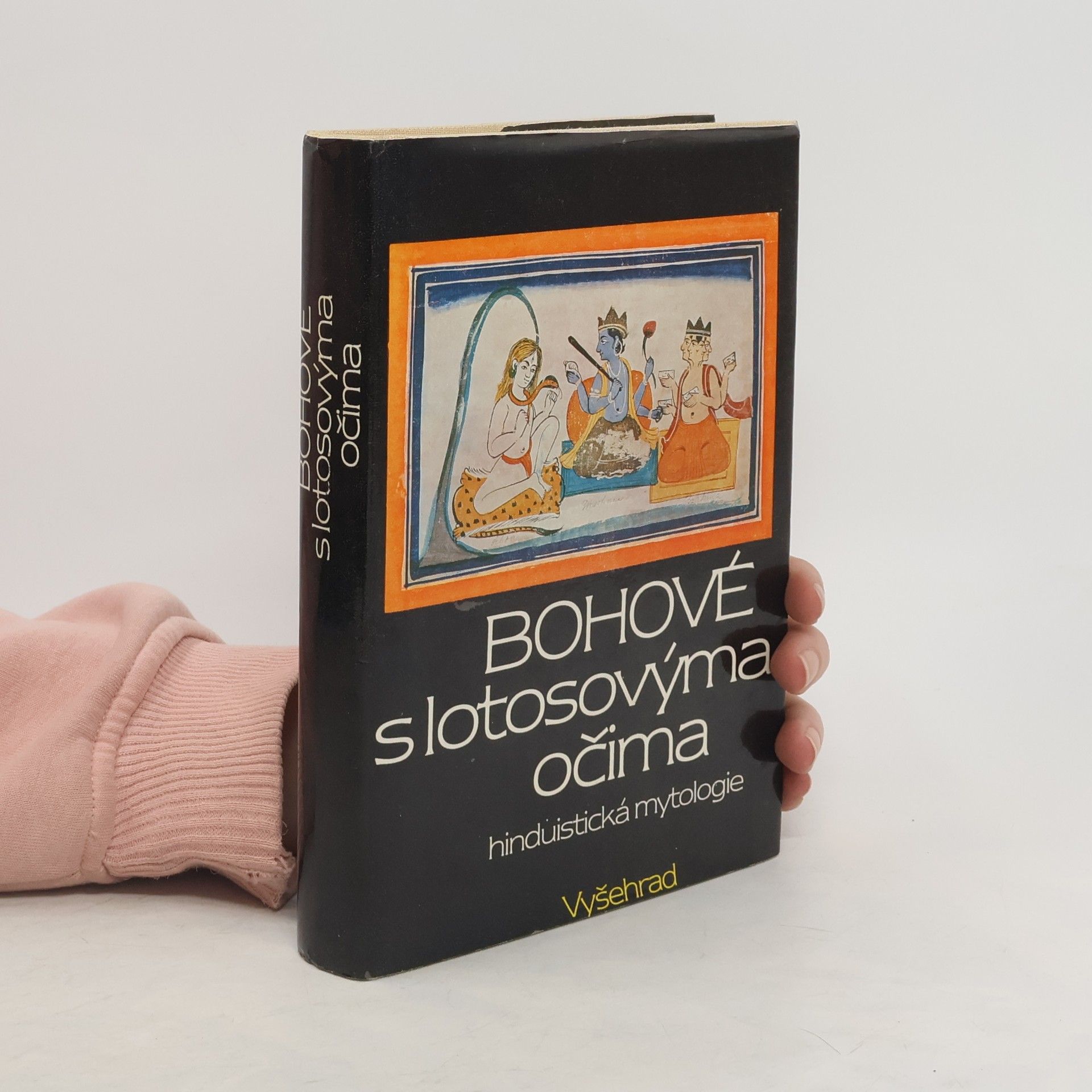 kolektiv Bohové s lotosovýma očima. Hinduistická mytologie