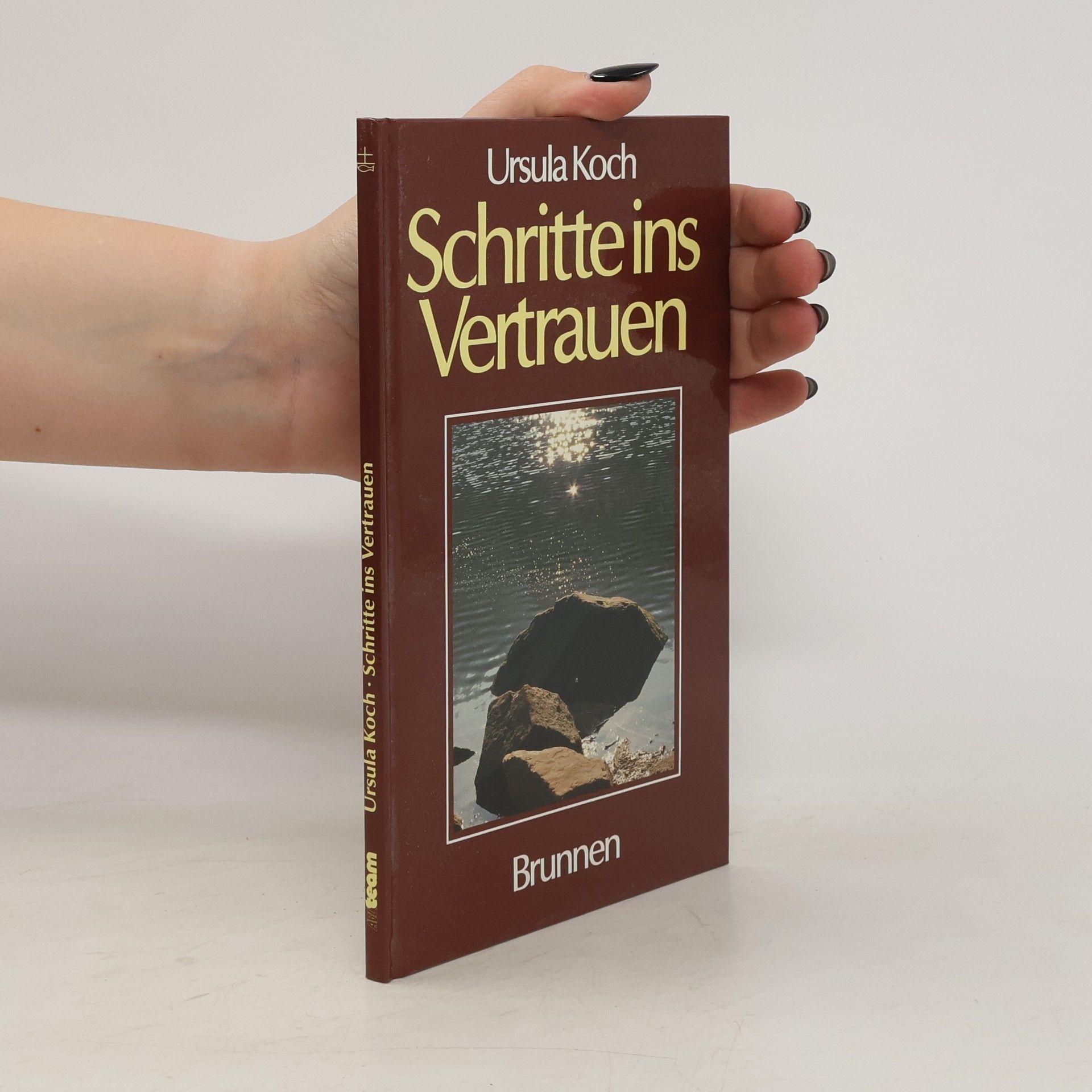 Autores varios Schritte ins Vertrauen
