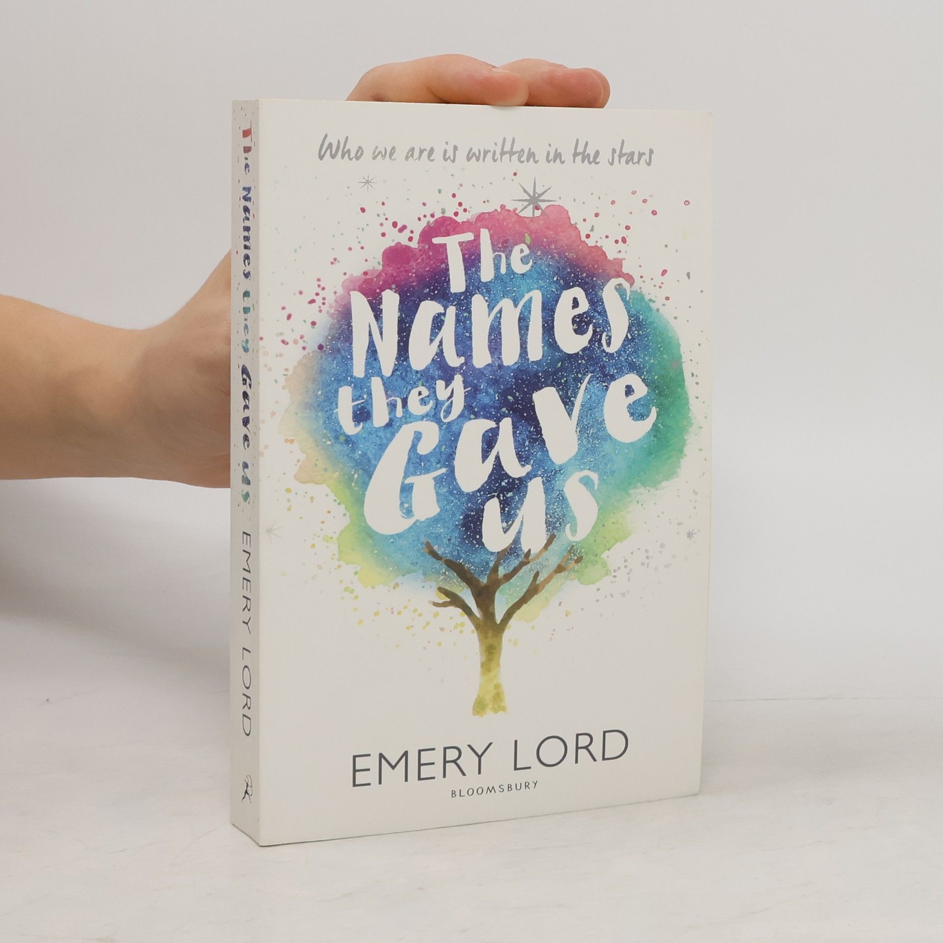 Emery Lord The name they gave us