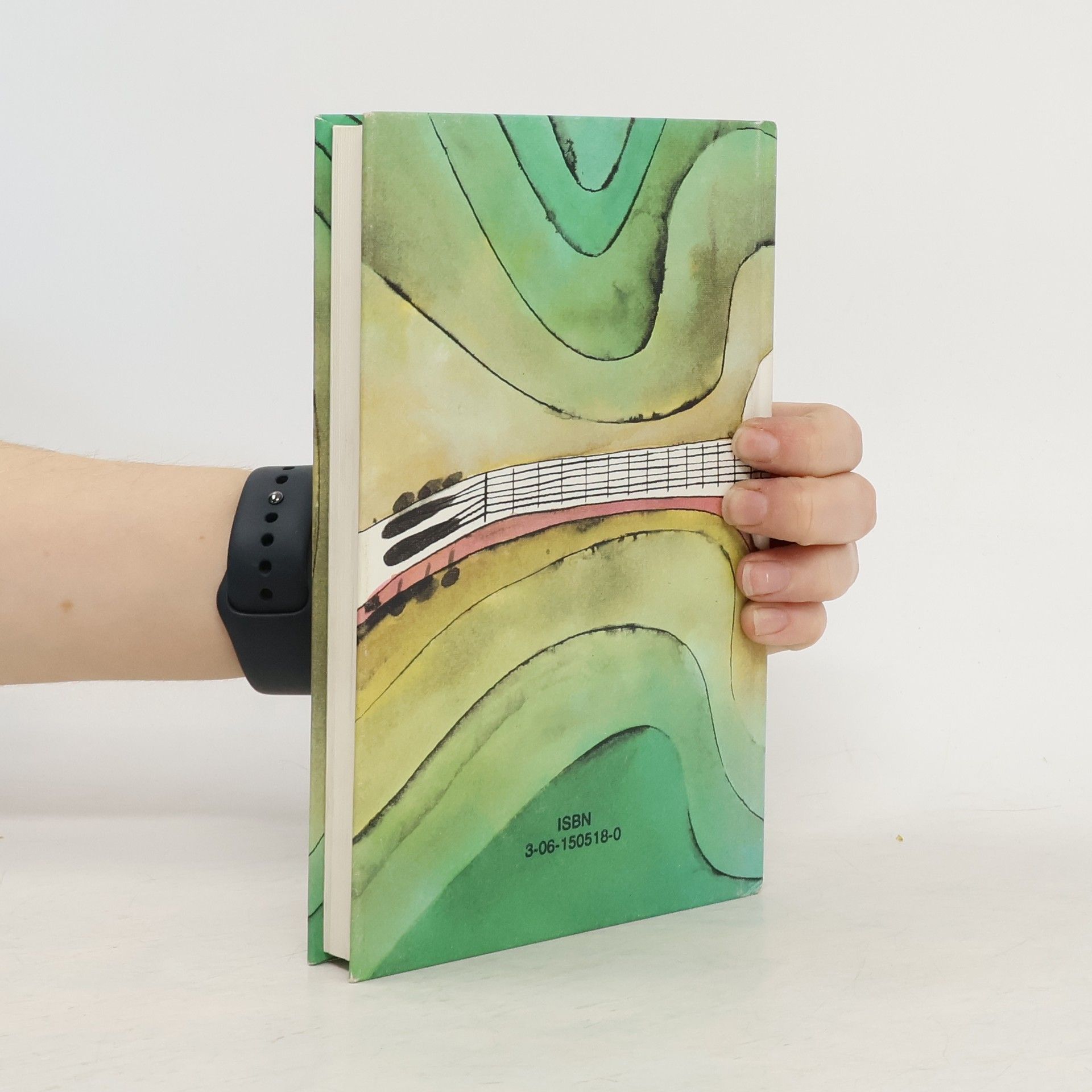 Autorenkollektiv Liederbuch für den Musikunterricht an allgemeinbildenden Schulen