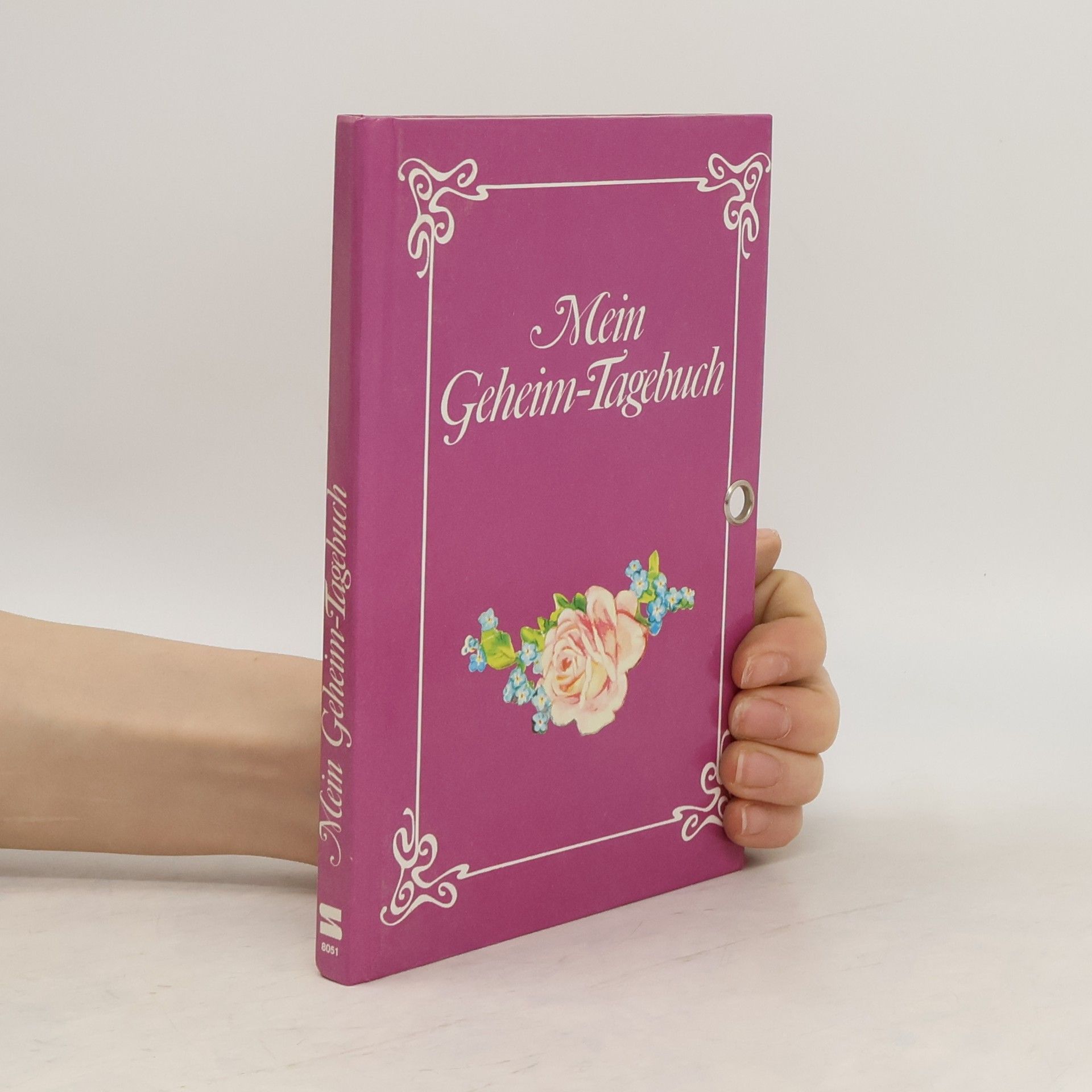 Autorenkollektiv Mein Geheim-Tagebuch