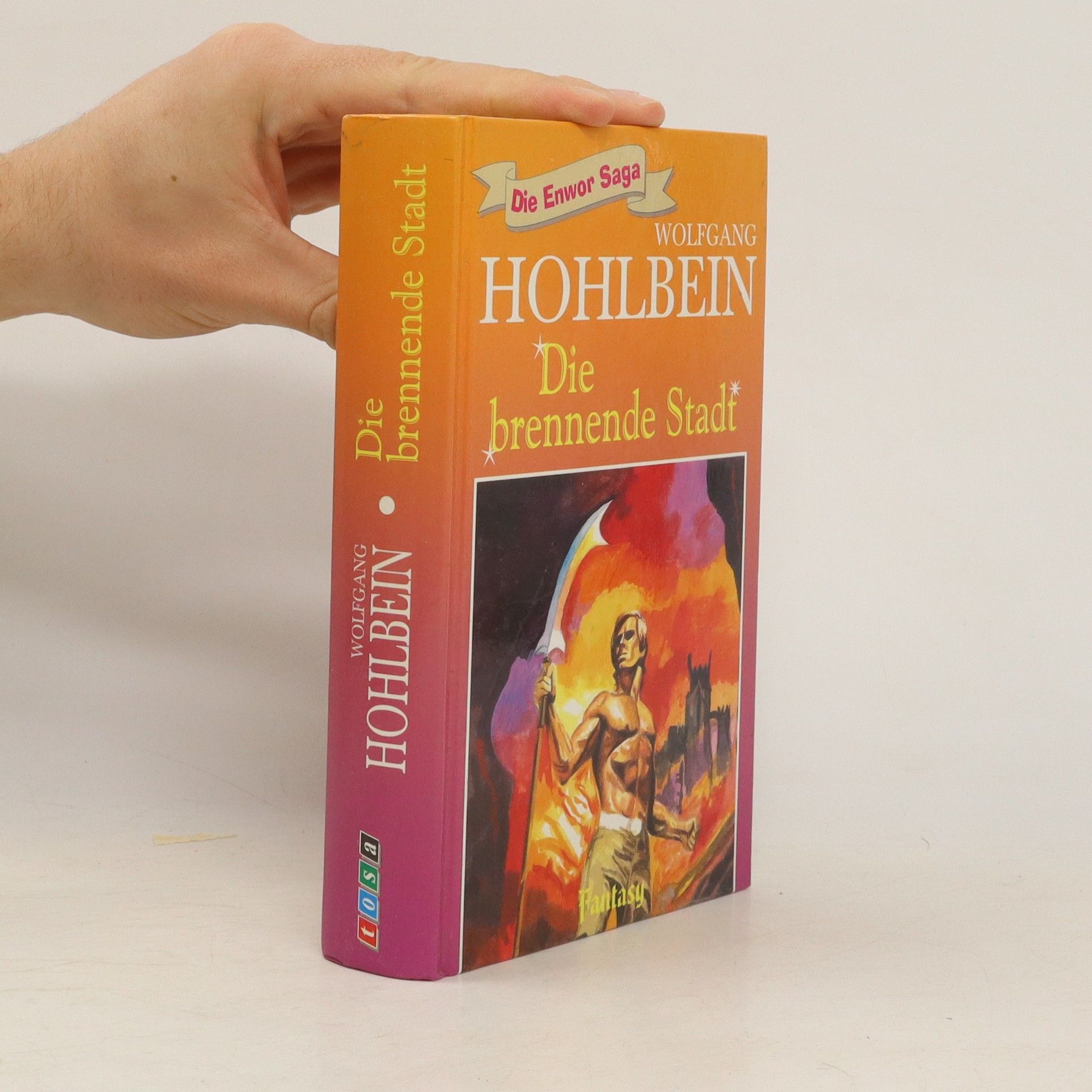 Wolfgang Hohlbein Die brennende Stadt