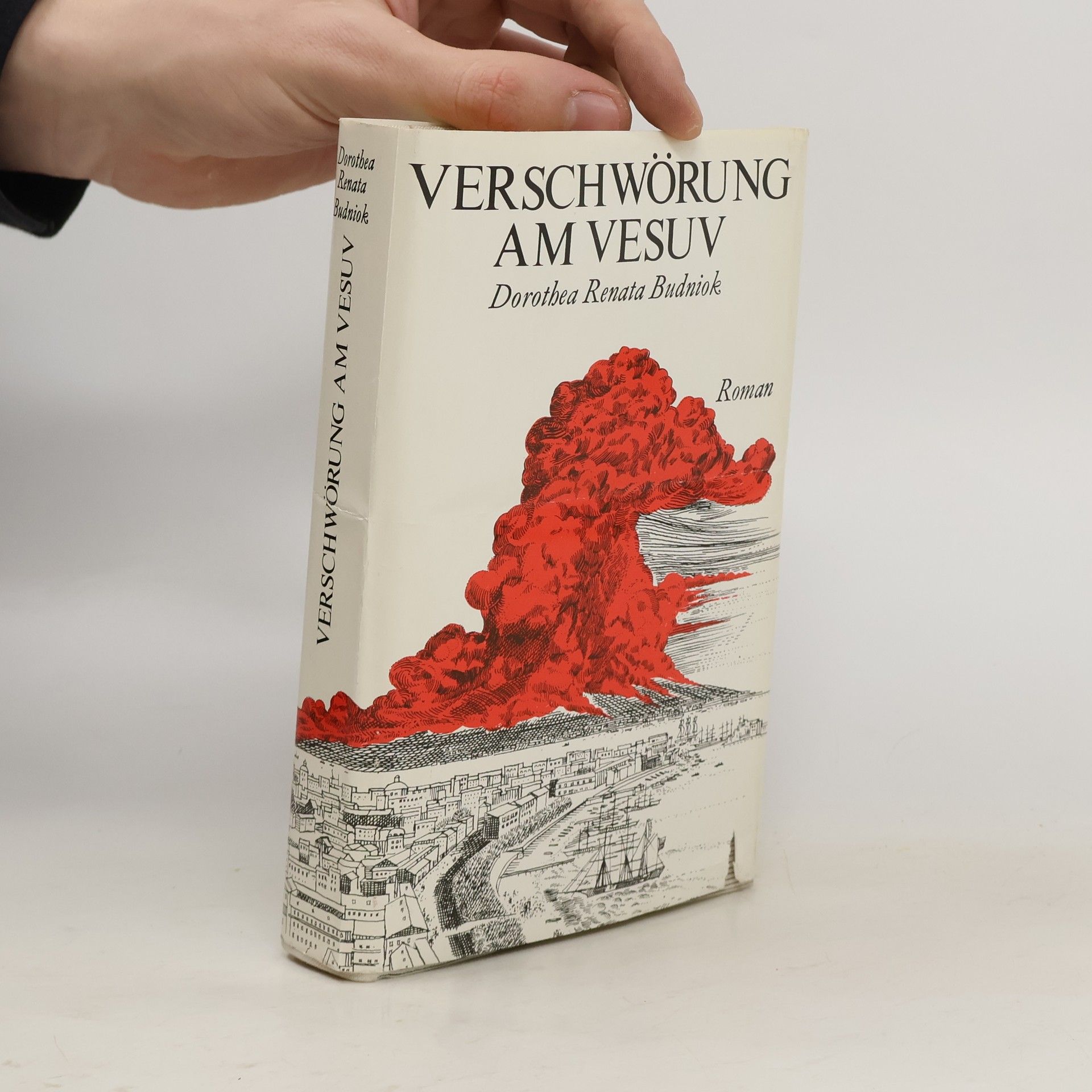Dorothea Renata Budniok Verschwörung am Vesuv