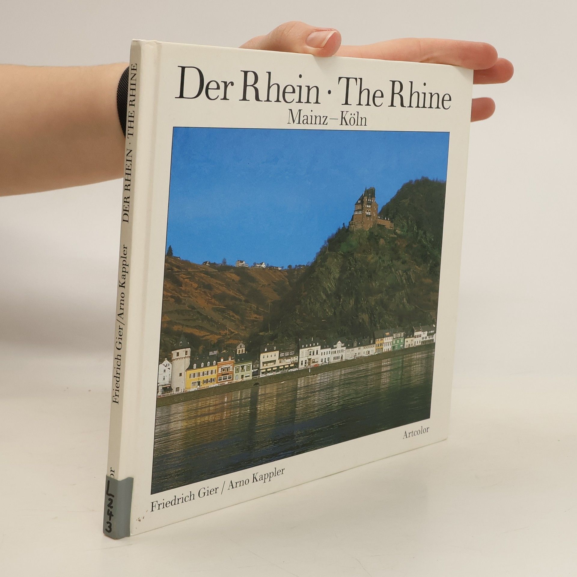 Friedrich Gier Der Rhein