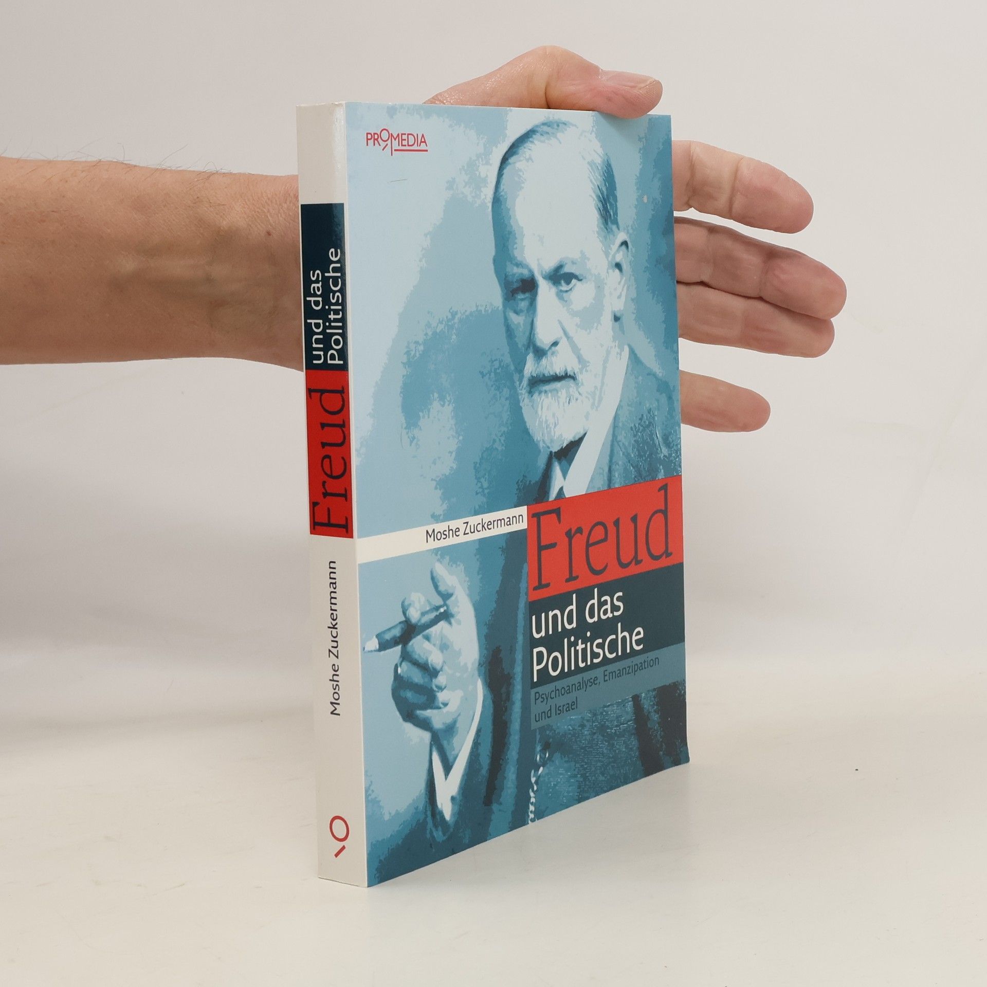 Mosheh Tsuk erman Freud und das Politische