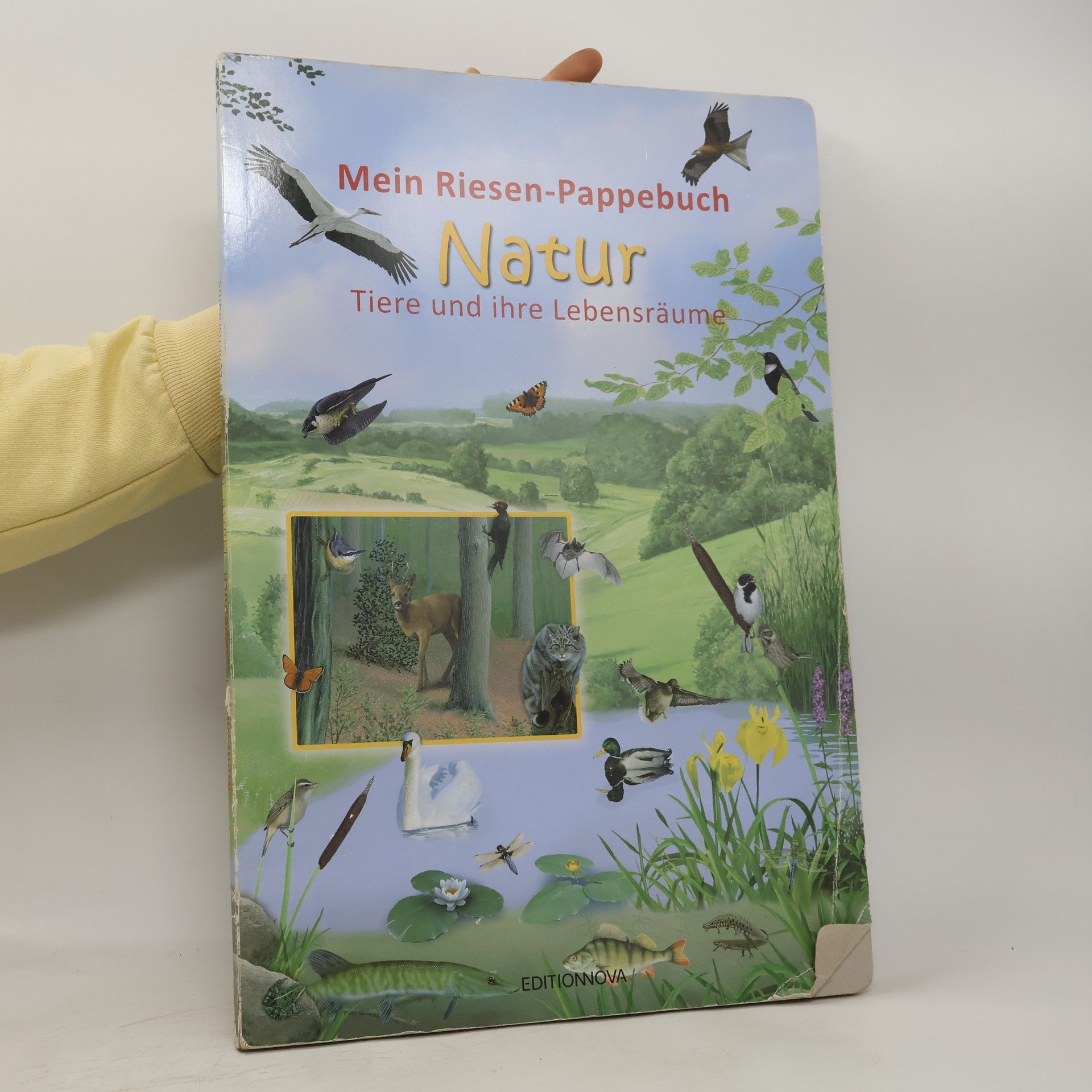 kolektiv Mein Reisen-Pappebuch Natur