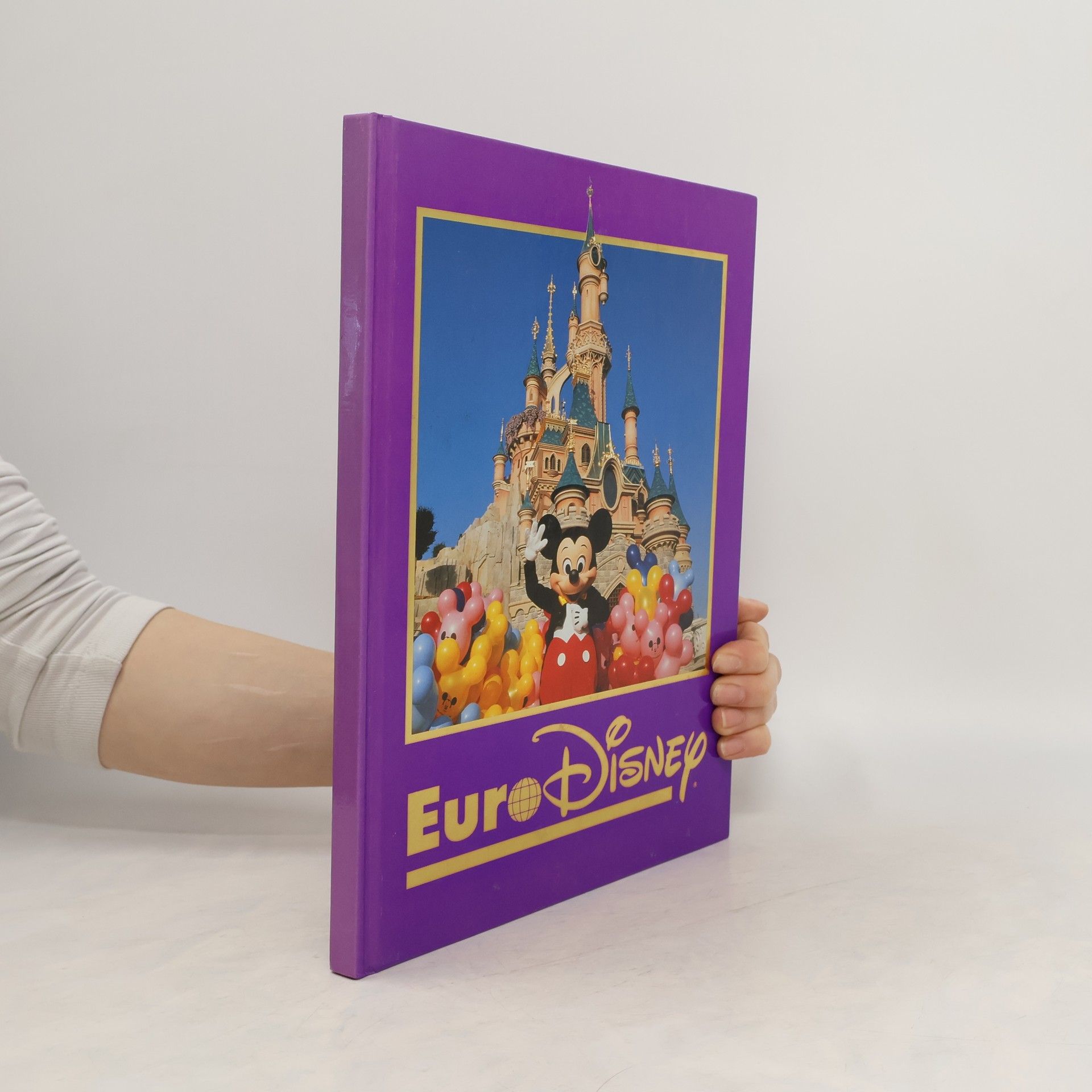Collectif d'auteurs EuroDisney