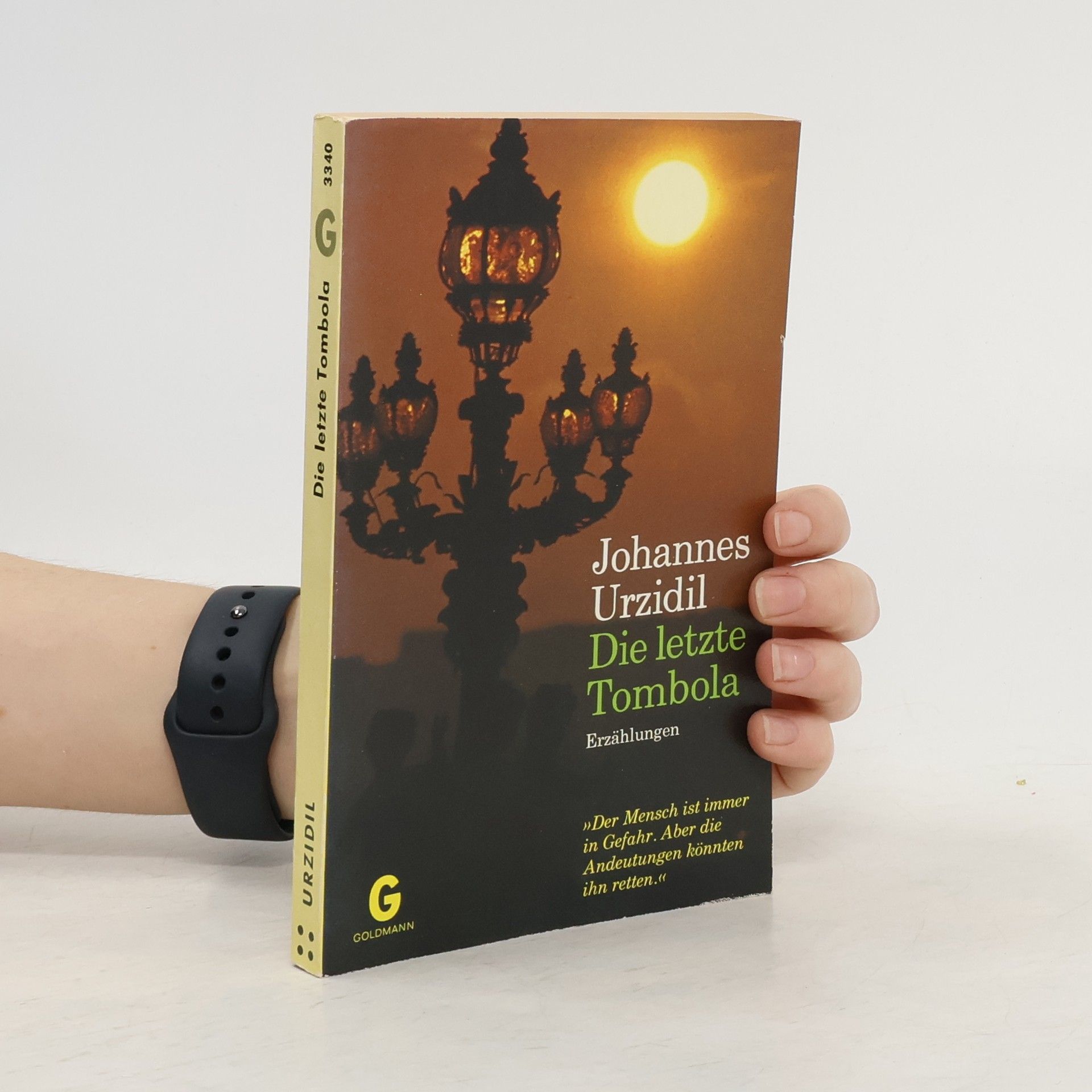 Johannes Urzidil Die letzte Tombola