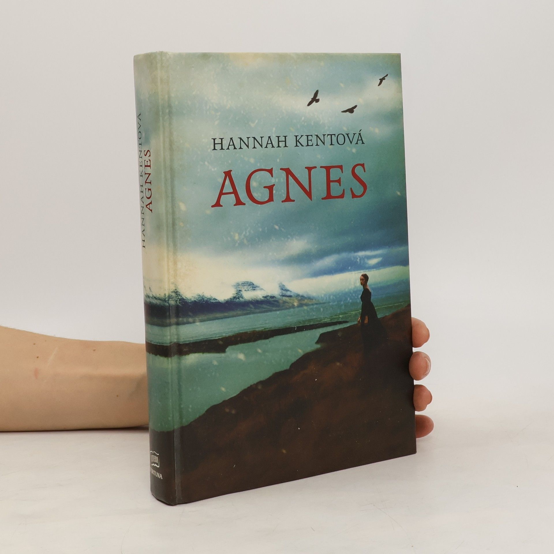 Hannah Kent Agnes