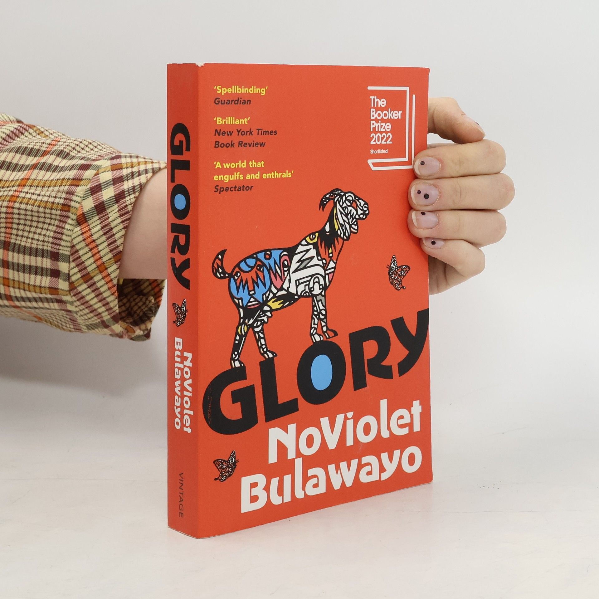NoViolet Bulawayo Glory