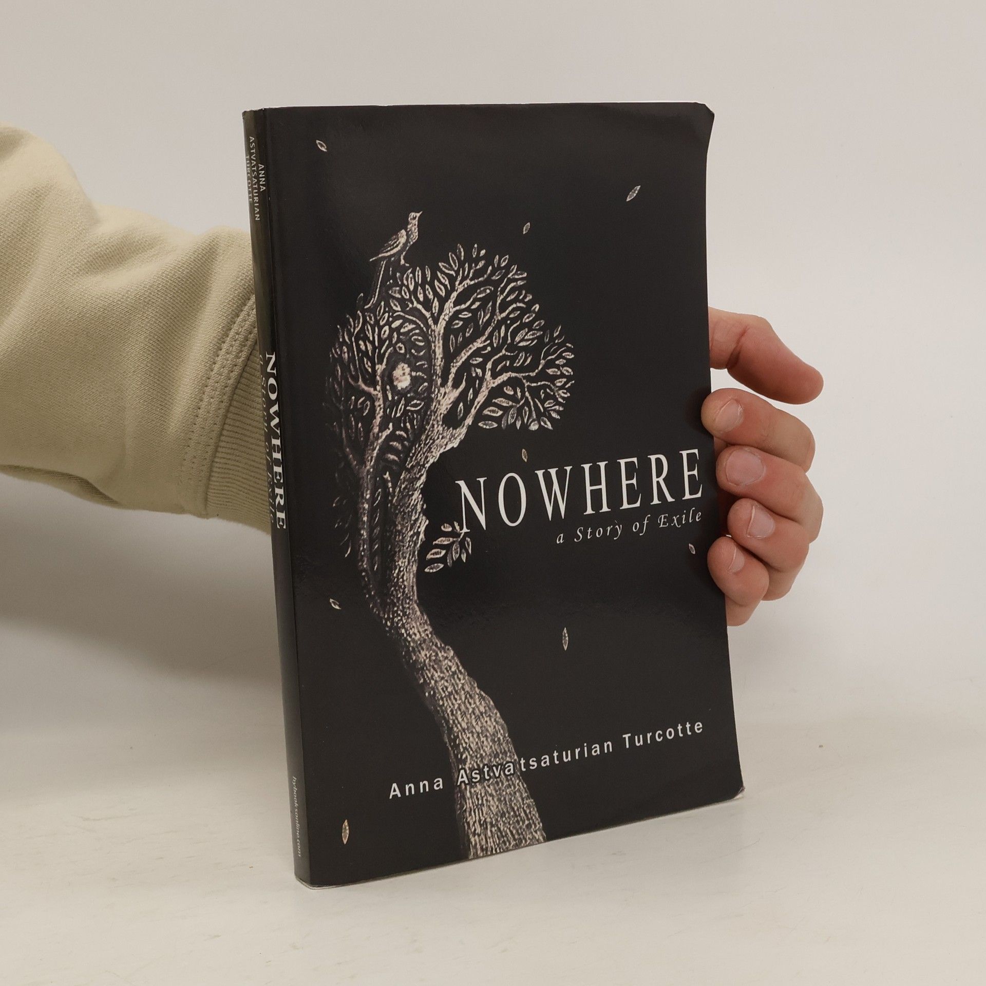 Anna Astvatsaturian Turcotte Nowhere