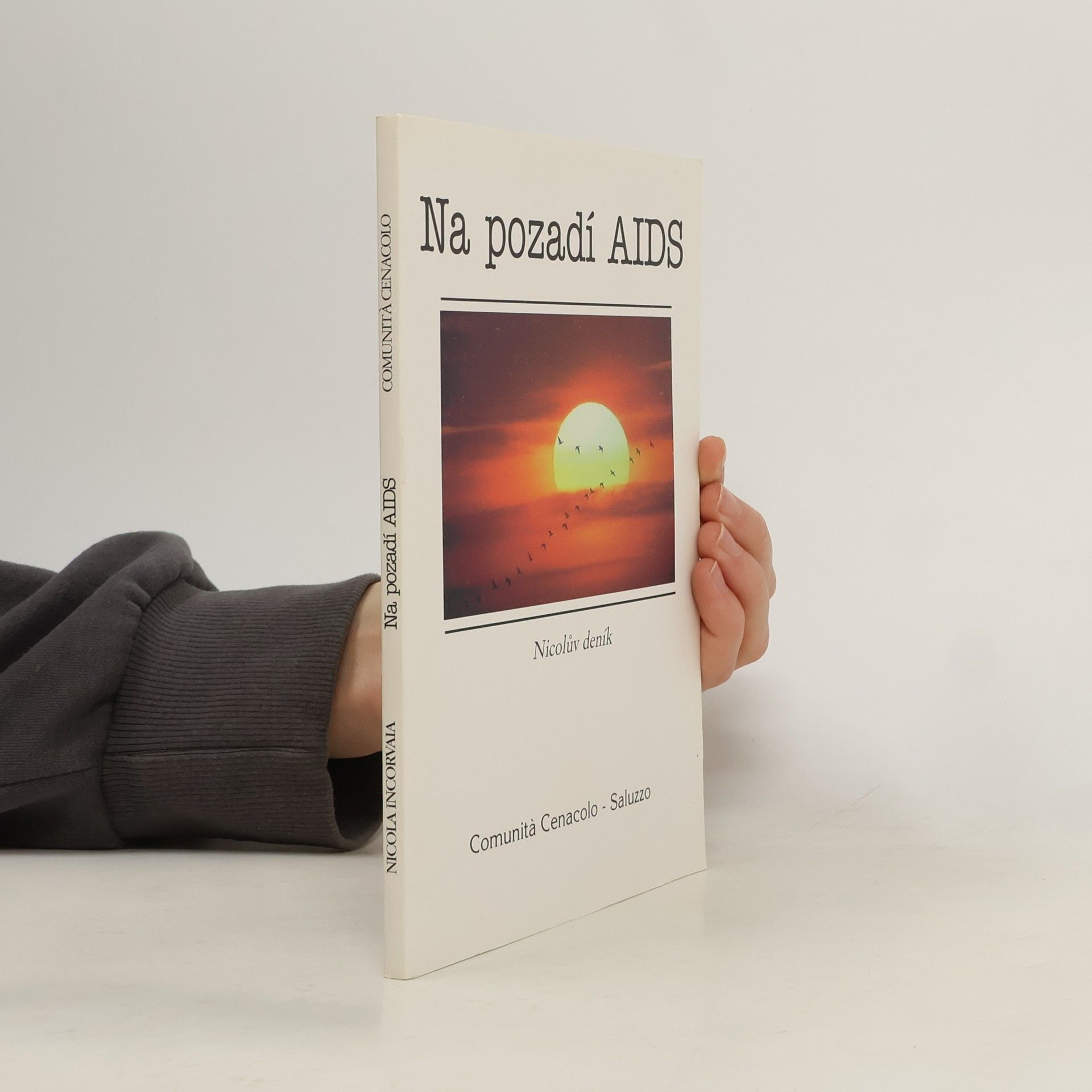 Na pozadí AIDS. Nicolův deník