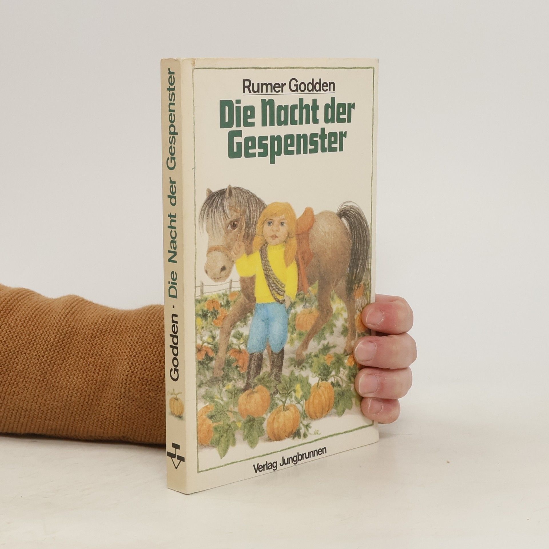 Rumer Godden Die Nacht der Gespenster