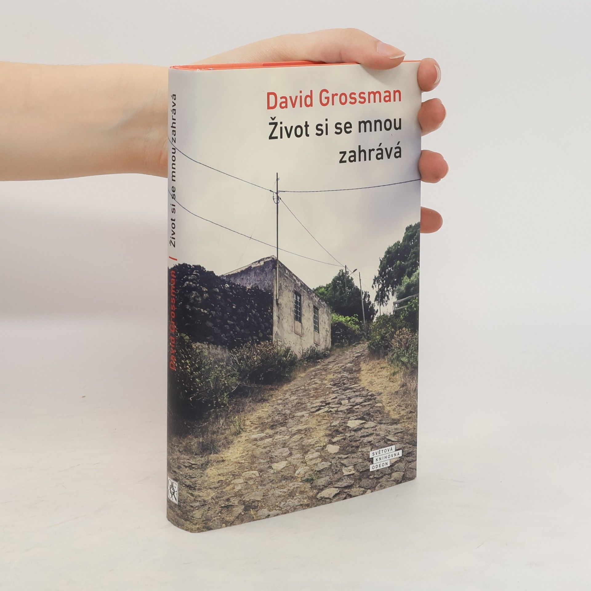 David Grossman Život si se mnou zahrává