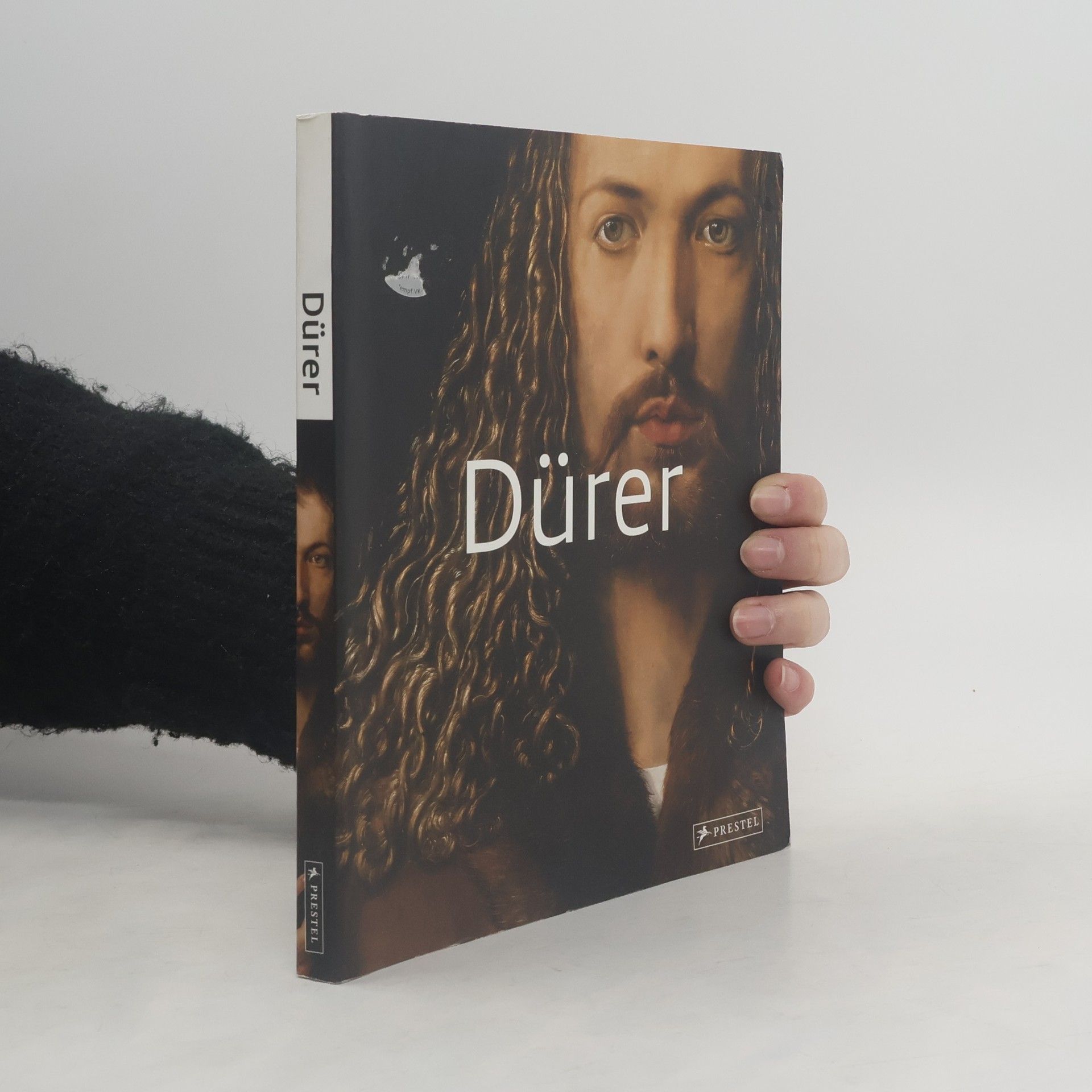 Stefano Zuffi Dürer