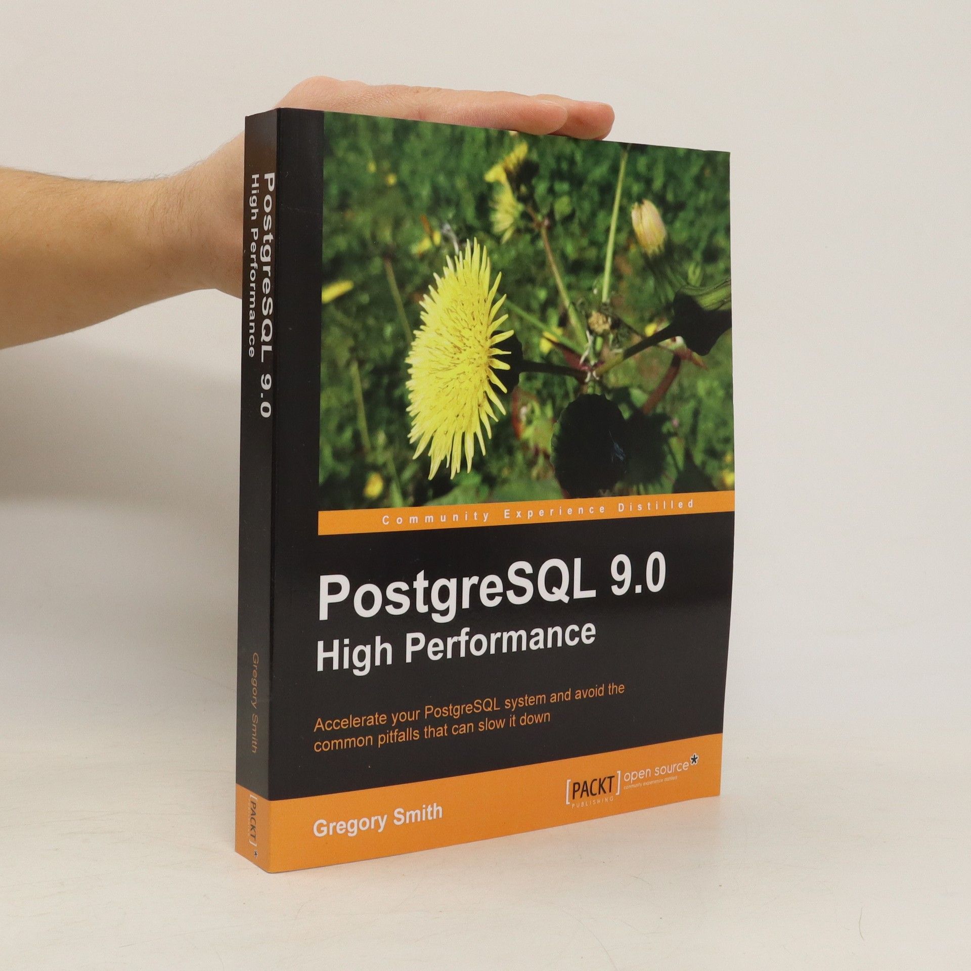 Gregory Smith PostgreSQL 9.0 High Performance