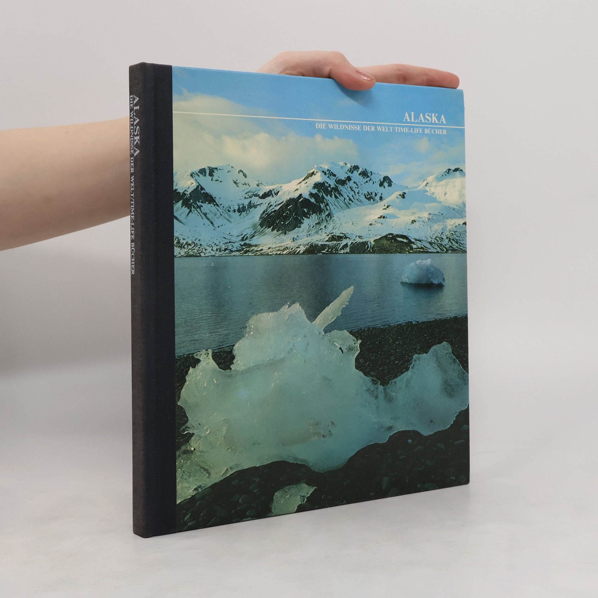 kolektiv Alaska