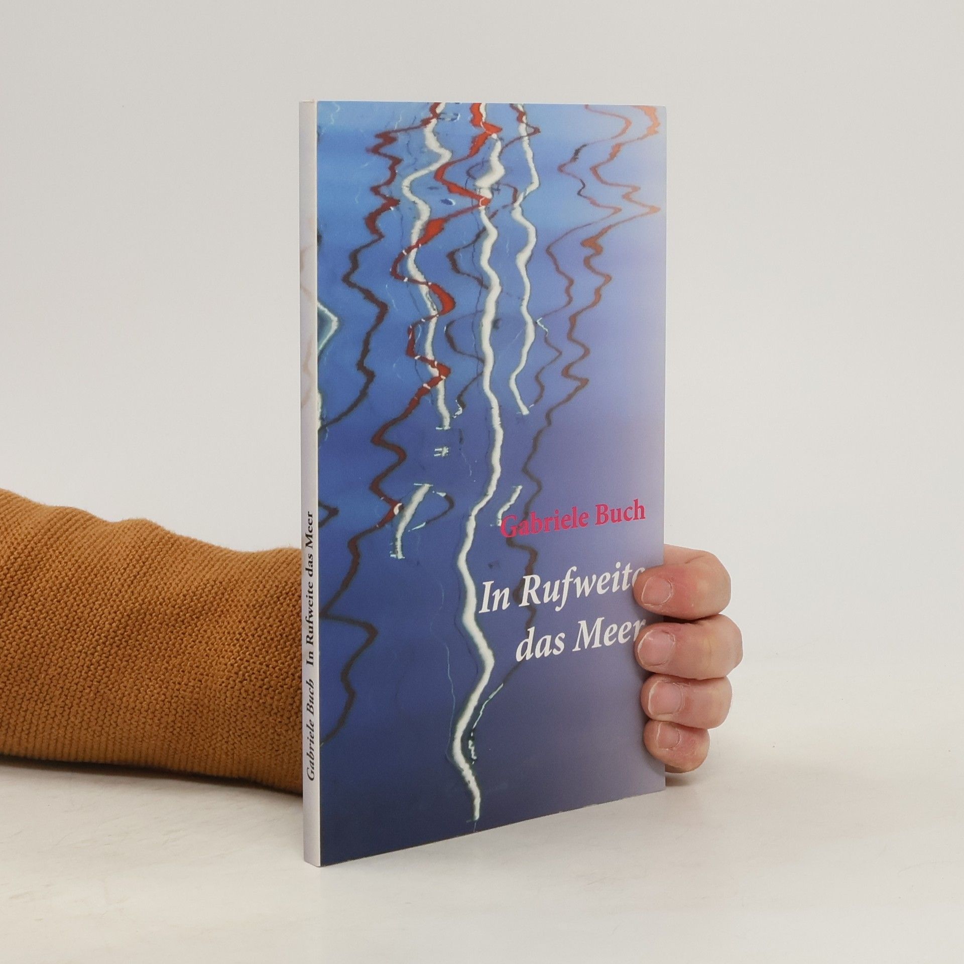 Gabriele Buch In Rufweite das Meer