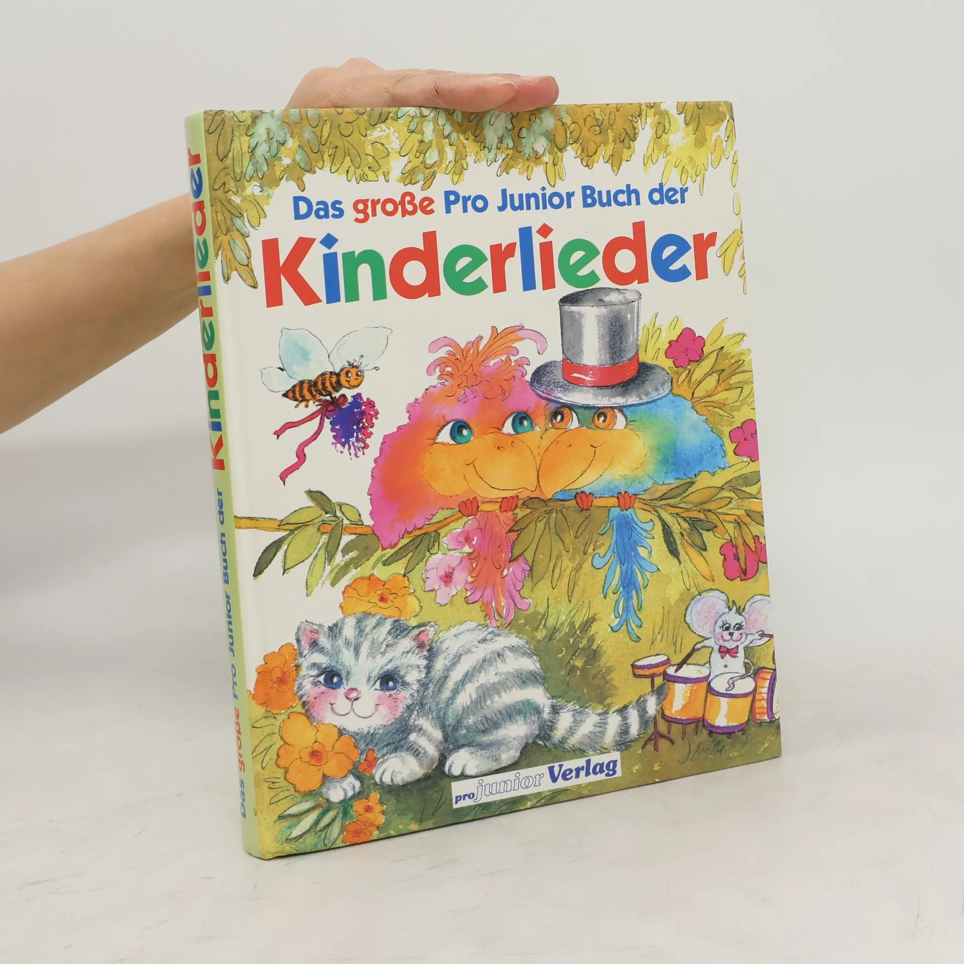 Das große Pro Junior Buch der Kinderlieder | Buch | kolektiv