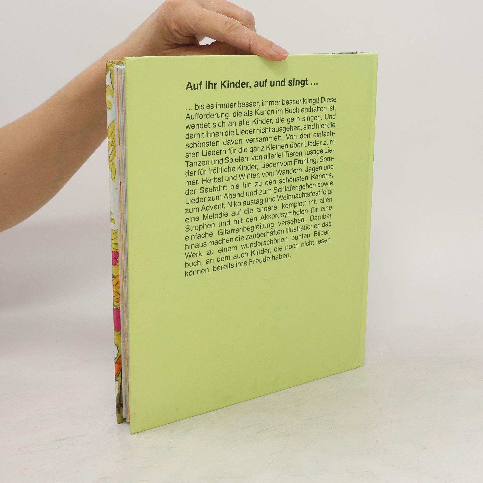 Autorenkollektiv Das große Pro Junior Buch der Kinderlieder