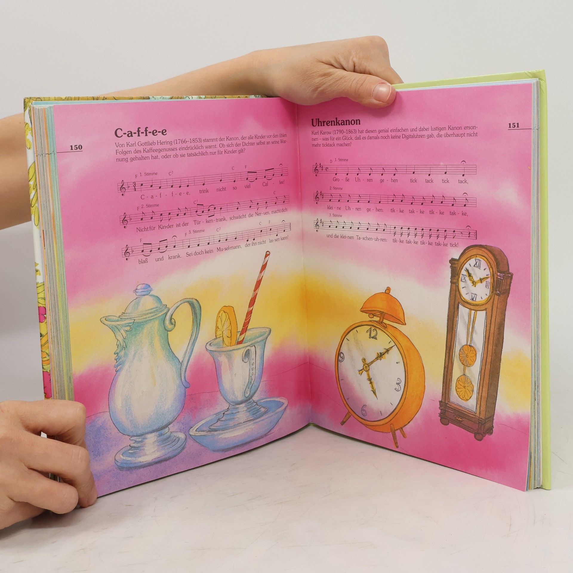 Autorenkollektiv Das große Pro Junior Buch der Kinderlieder