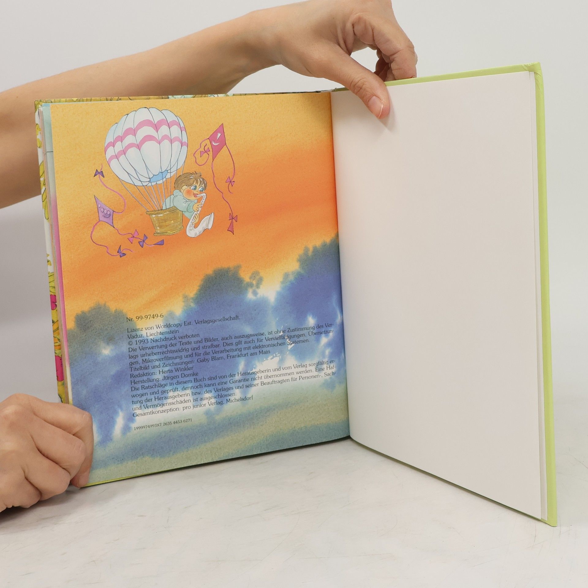 Autorenkollektiv Das große Pro Junior Buch der Kinderlieder