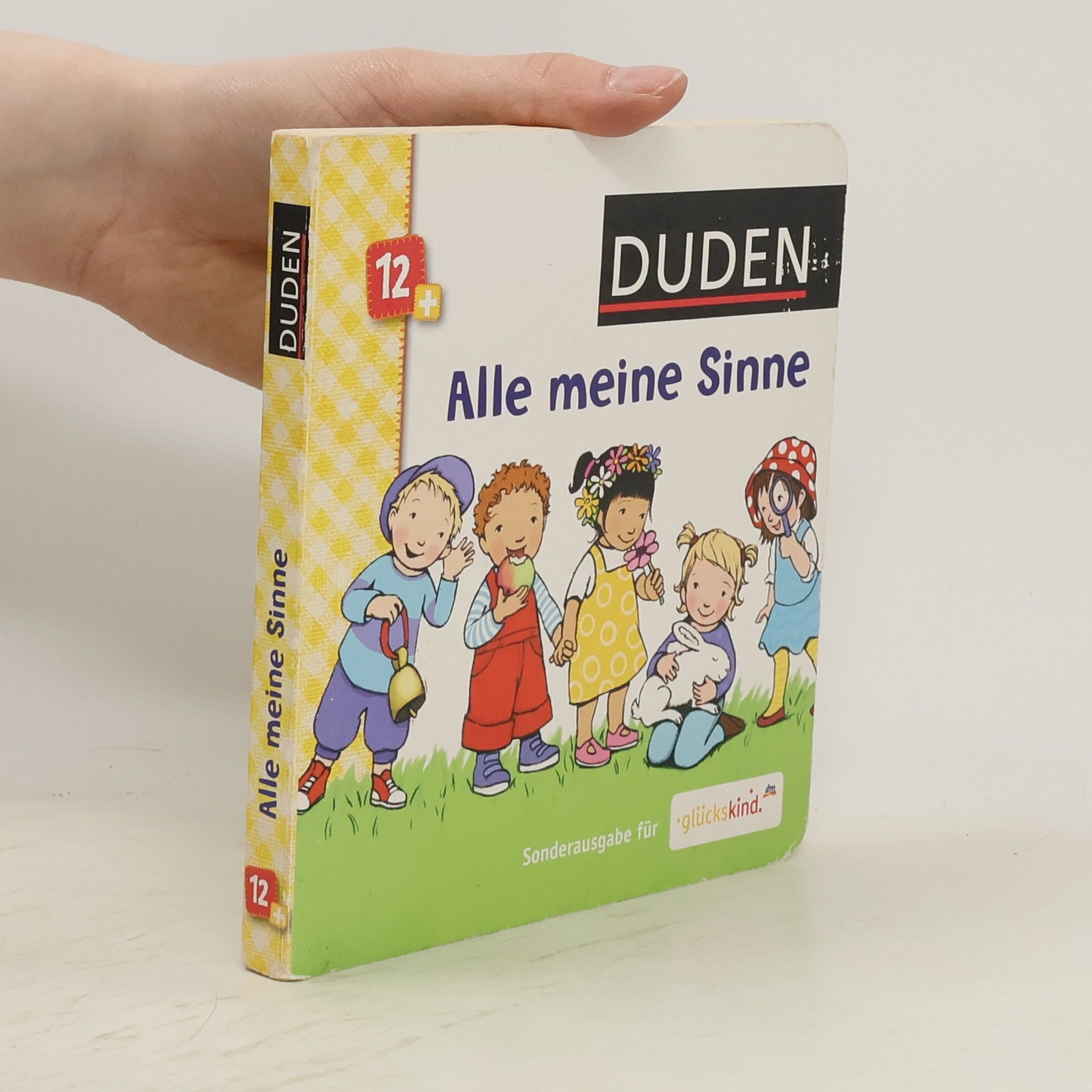 Autorenkollektiv Alle meine Sinne