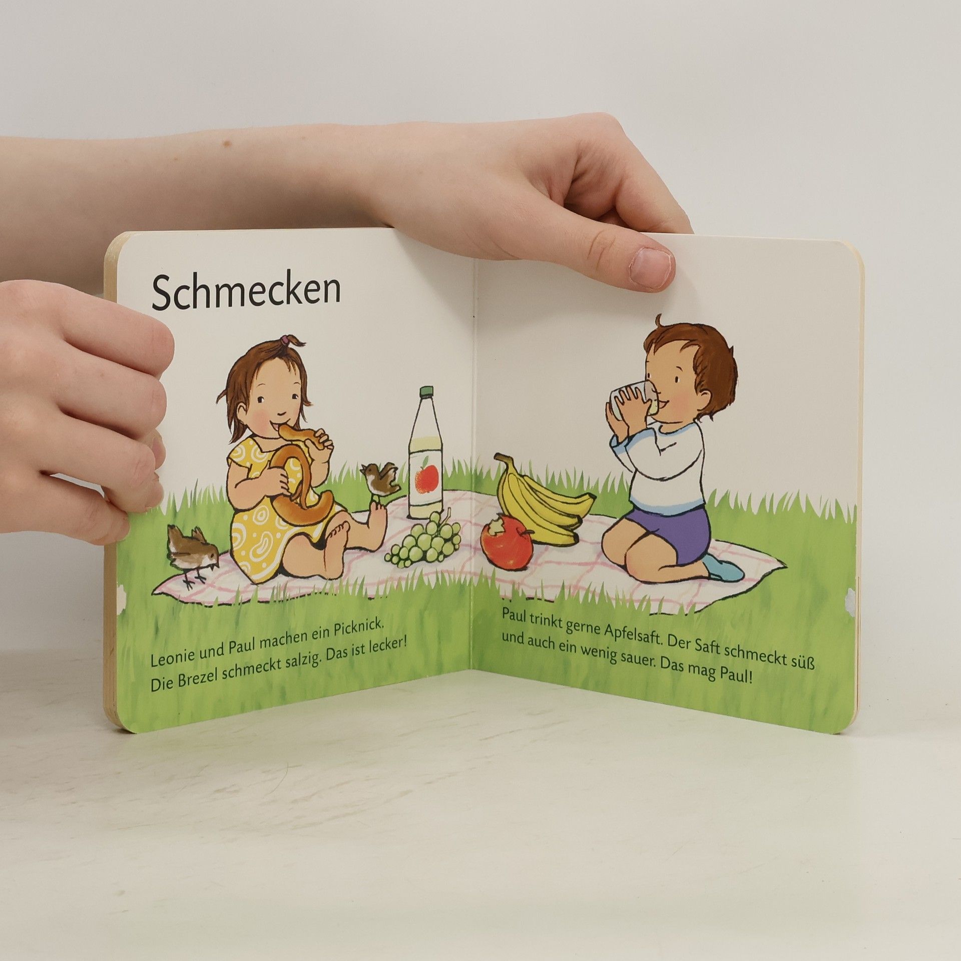 Autorenkollektiv Alle meine Sinne