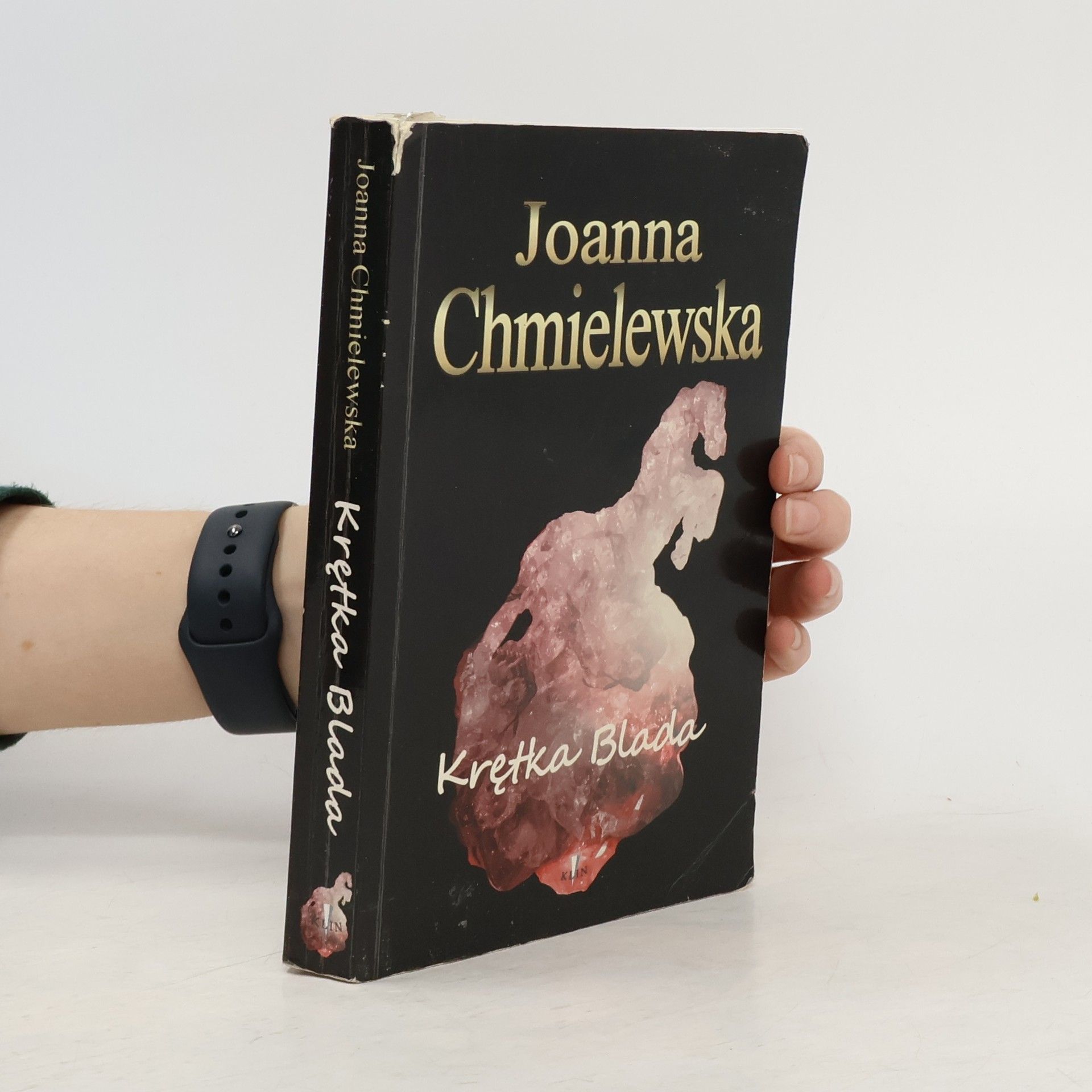 Joanna Chmielewska Krętka Blada