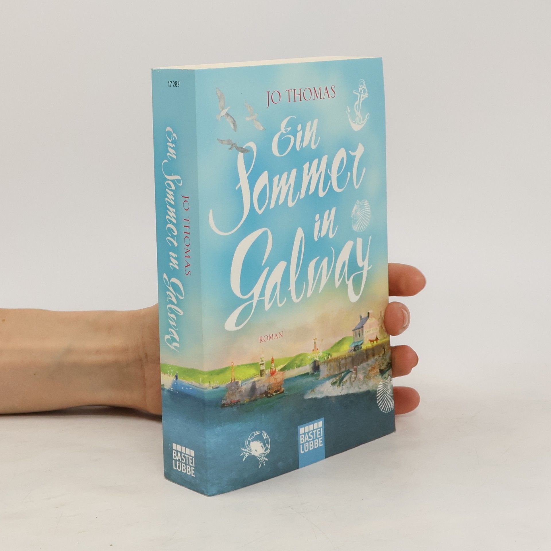 Jo Thomas Ein Sommer in Galway