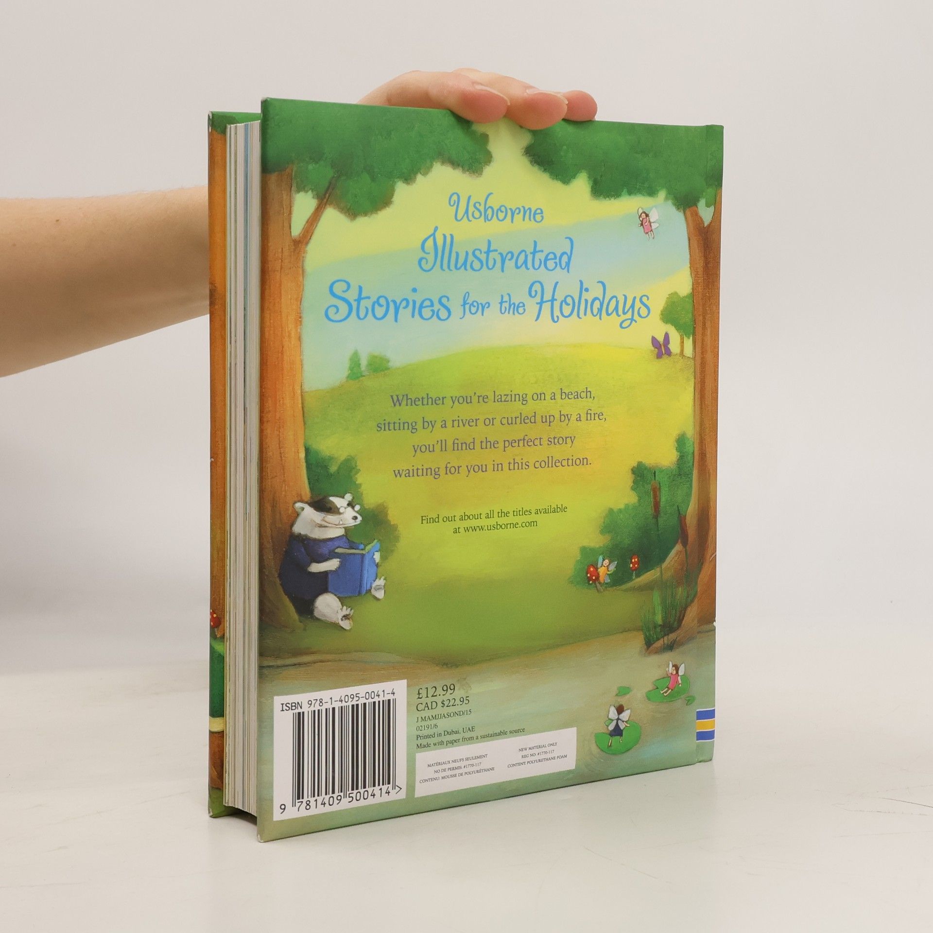 Kolektiv autorů Illustrated Stories for the Holidays