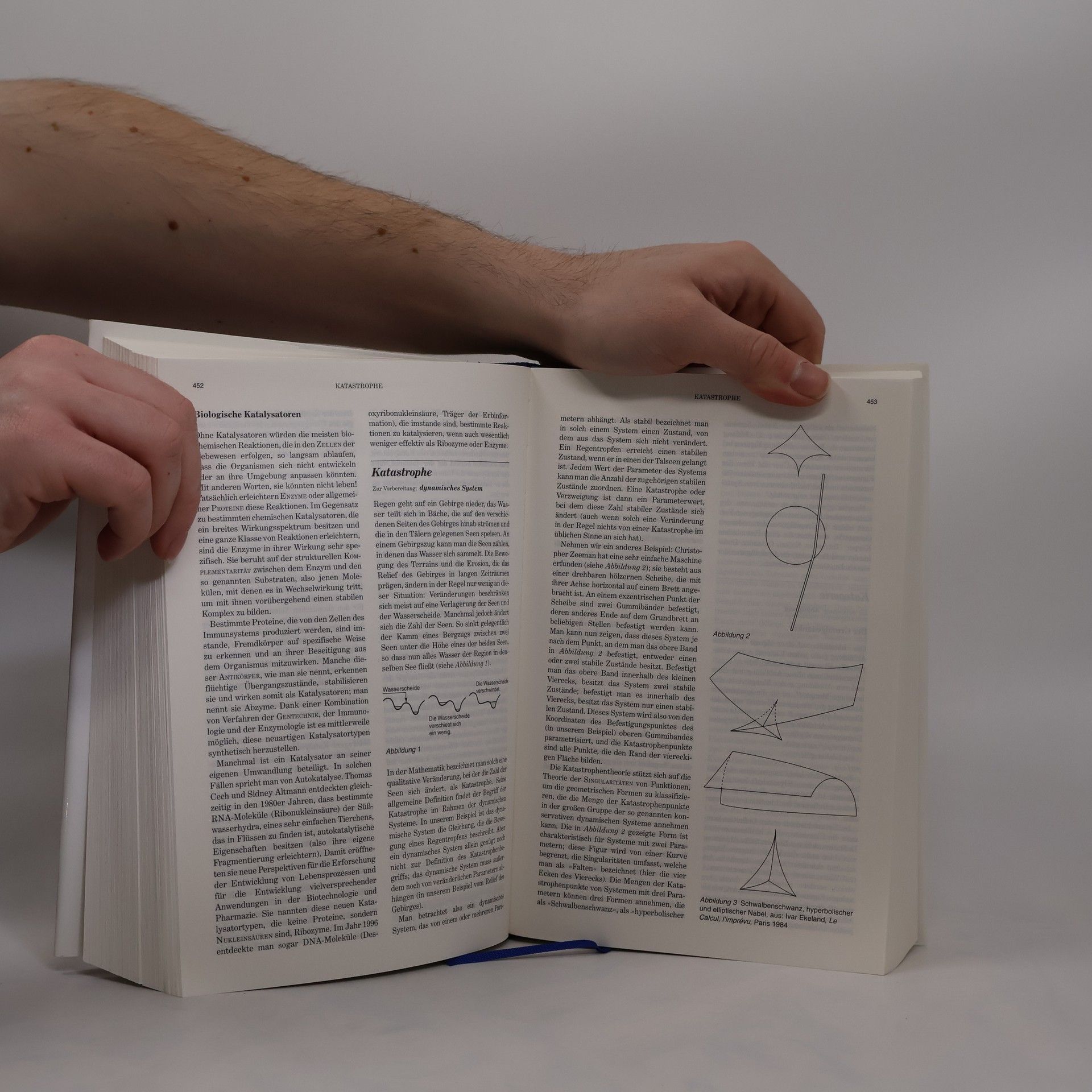 Michel Serres Thesaurus der exakten Wissenschaften