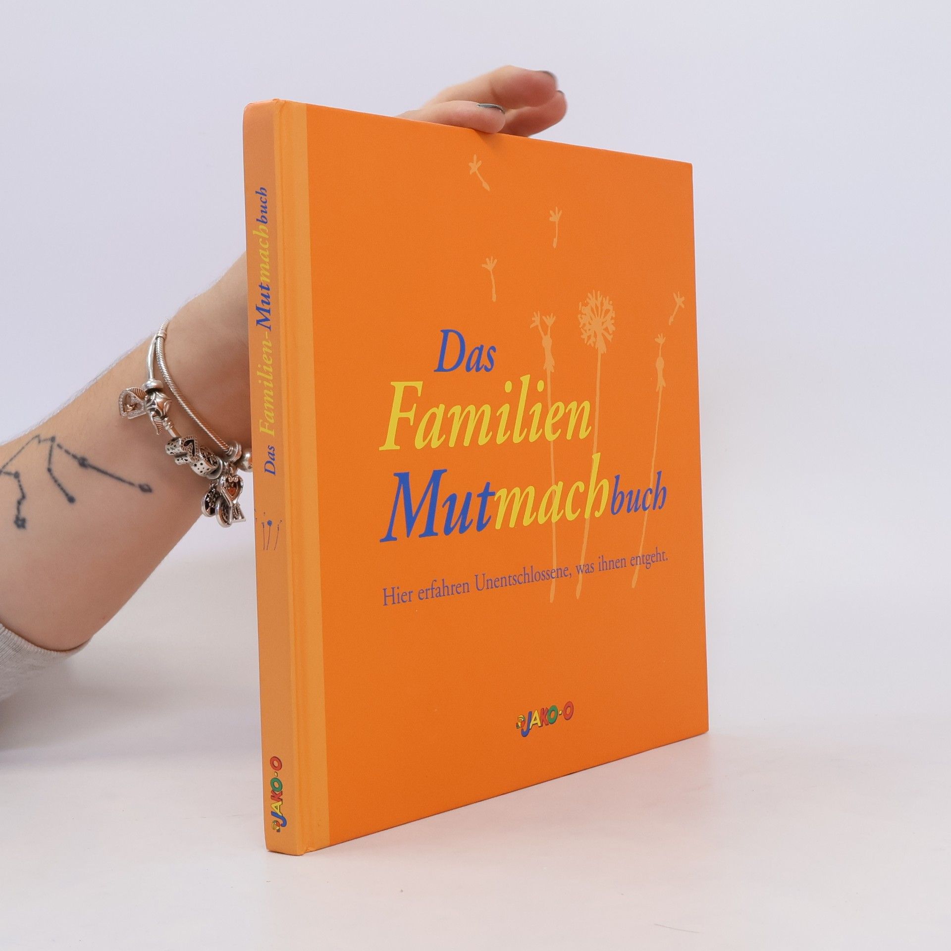 Ulrike Dreyer Das Familien Mutmachbuch