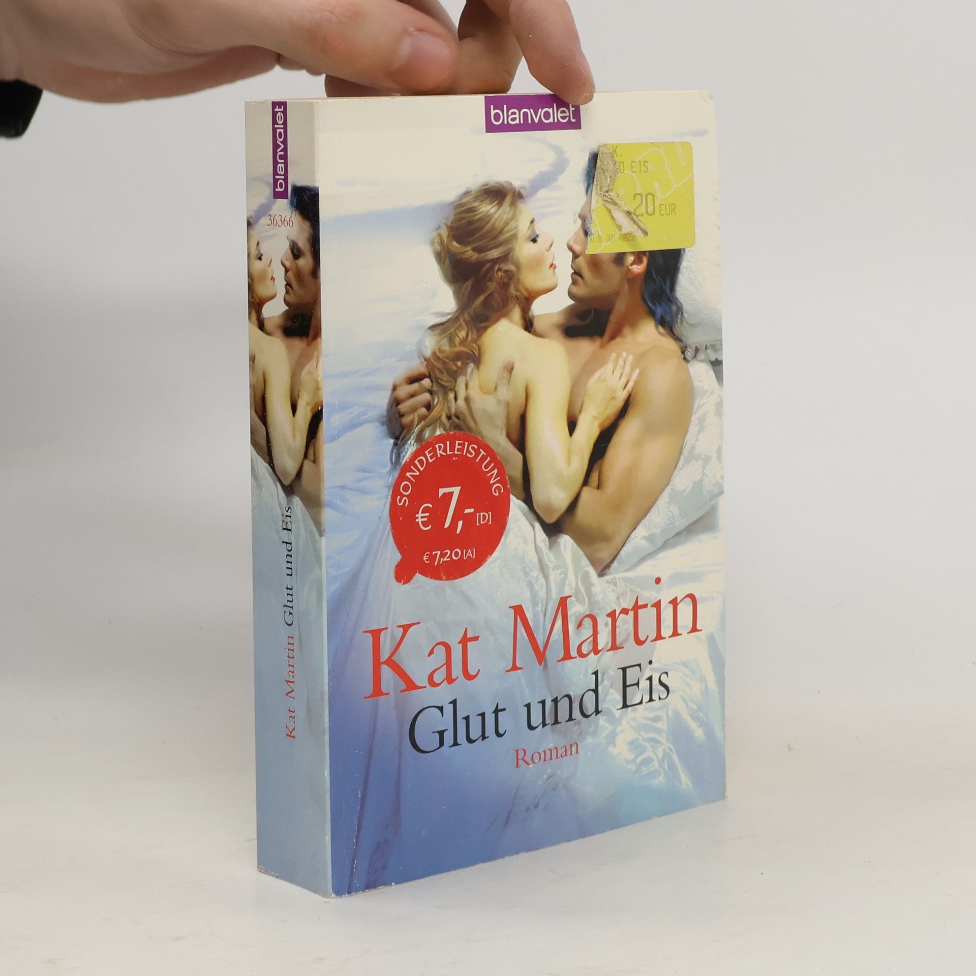 Kat Martin Glut und Eis. Roman