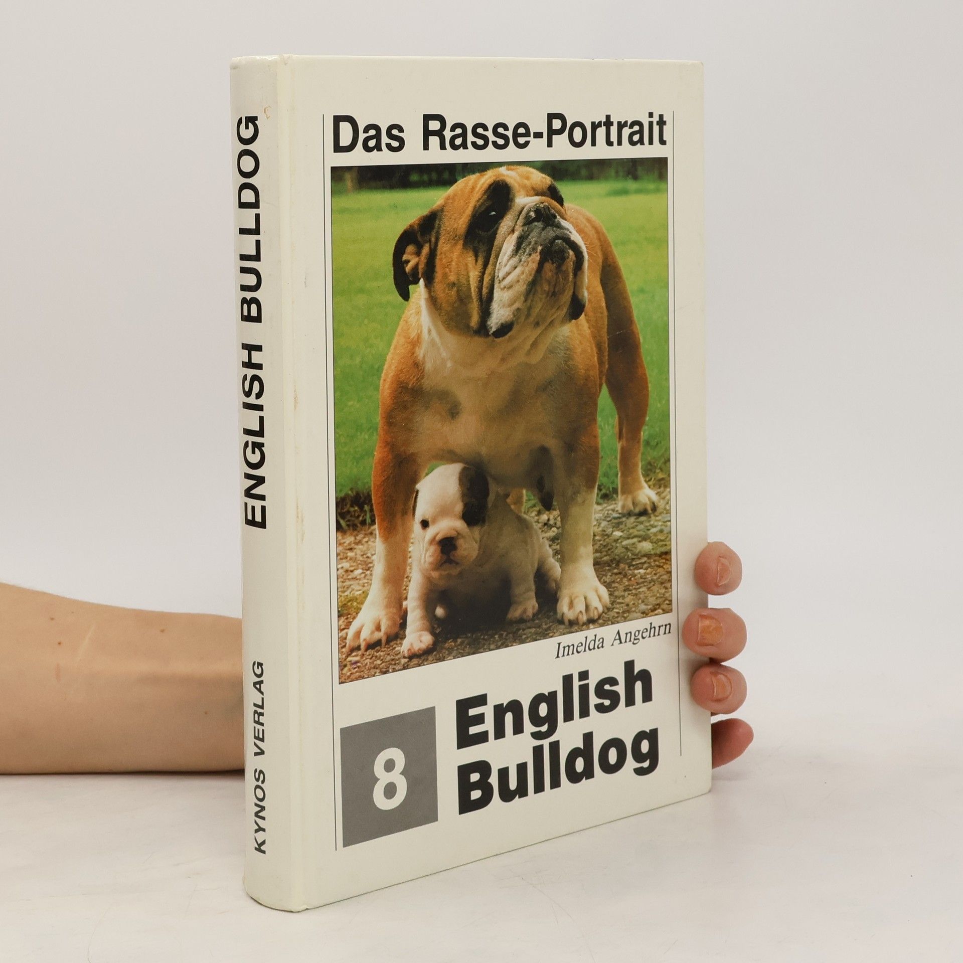 Imelda Angehrn English Bulldog