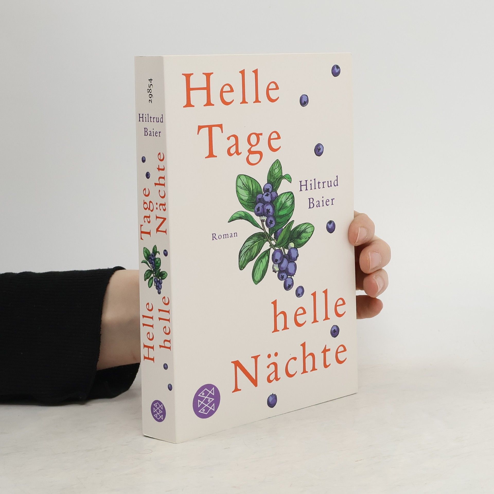 Hiltrud Baier Helle Tage, helle Nächte