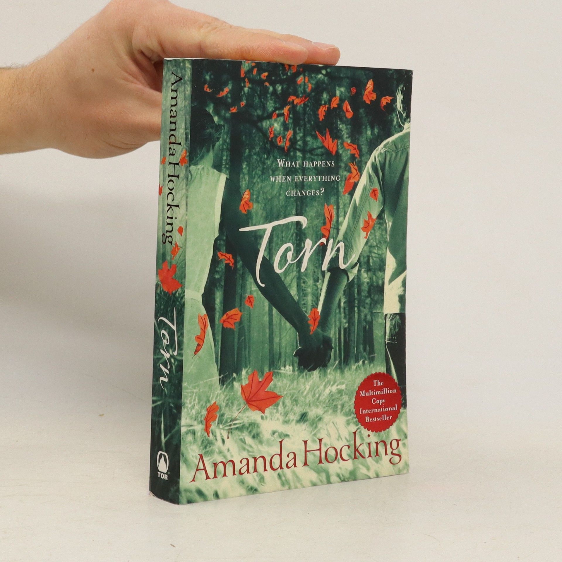 Amanda Hocking Torn
