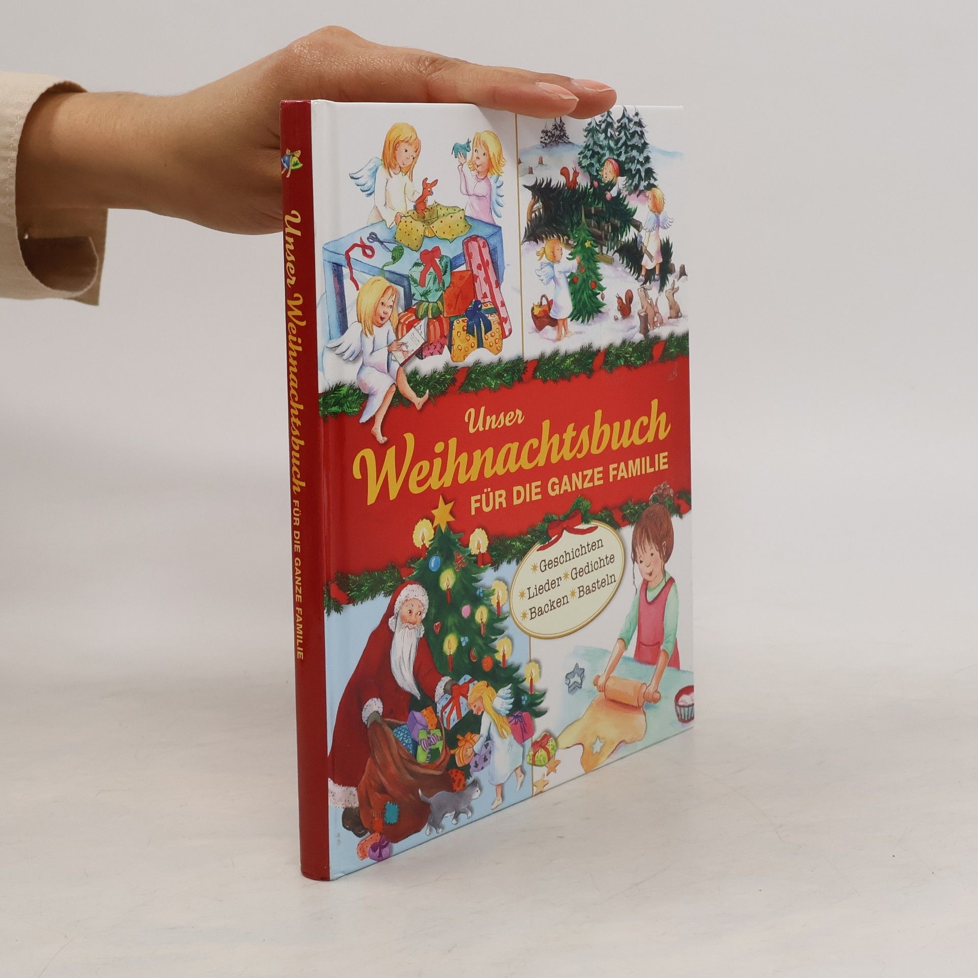 Autorenkollektiv Das große Weihnachtsbuch für die ganze Familie