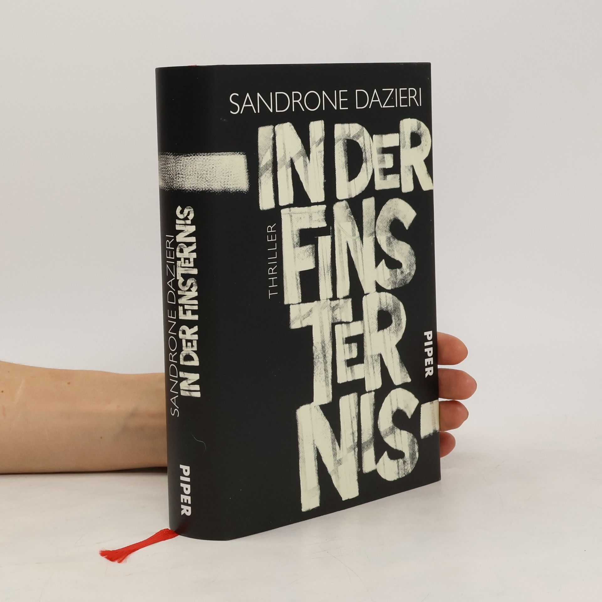 Sandrone Dazieri In der Finsternis