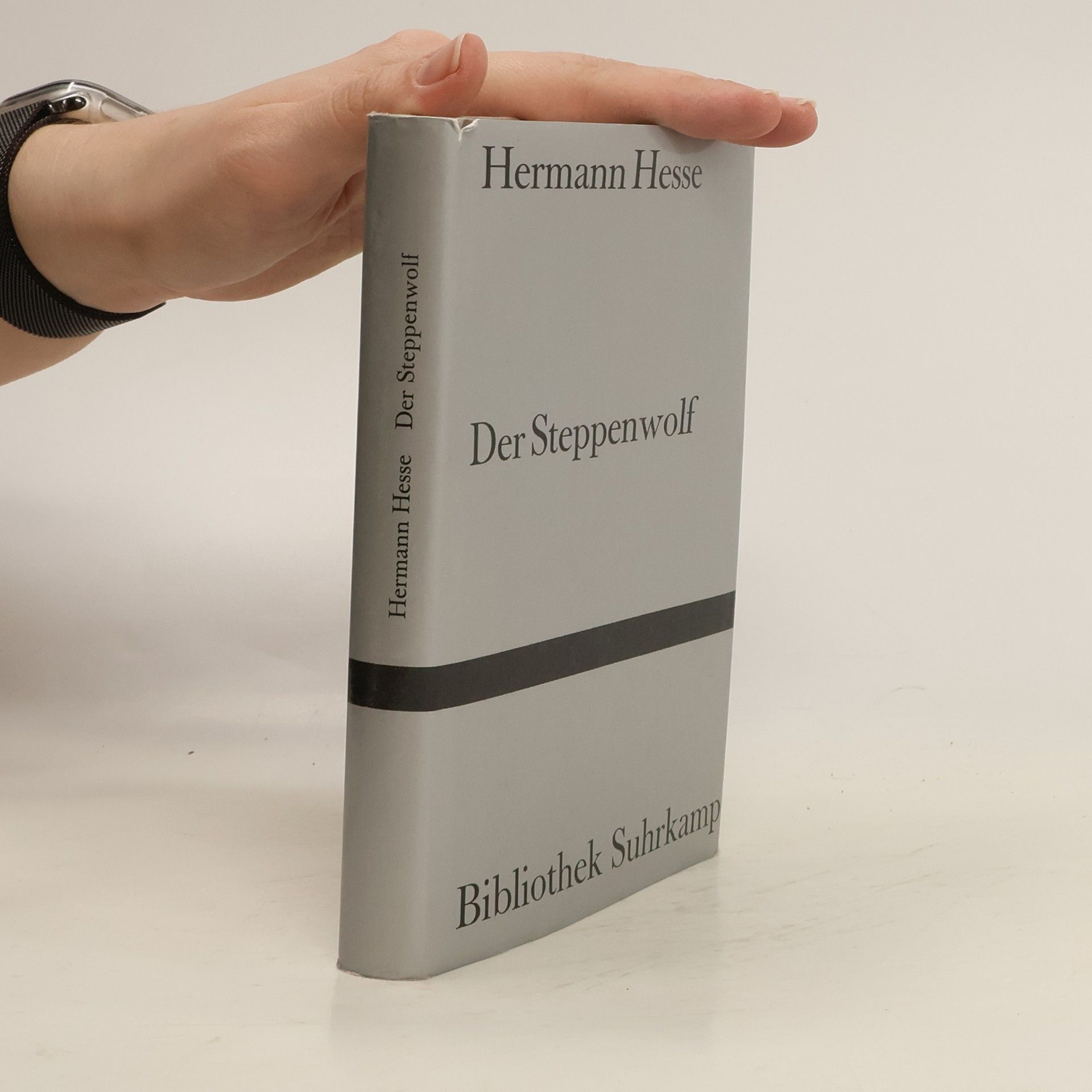 Hermann Hesse Der Steppenwolf