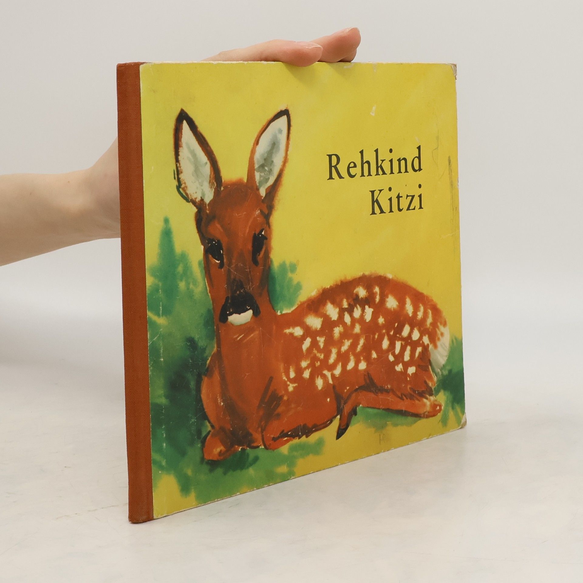 kolektiv Rehkind Kitzi