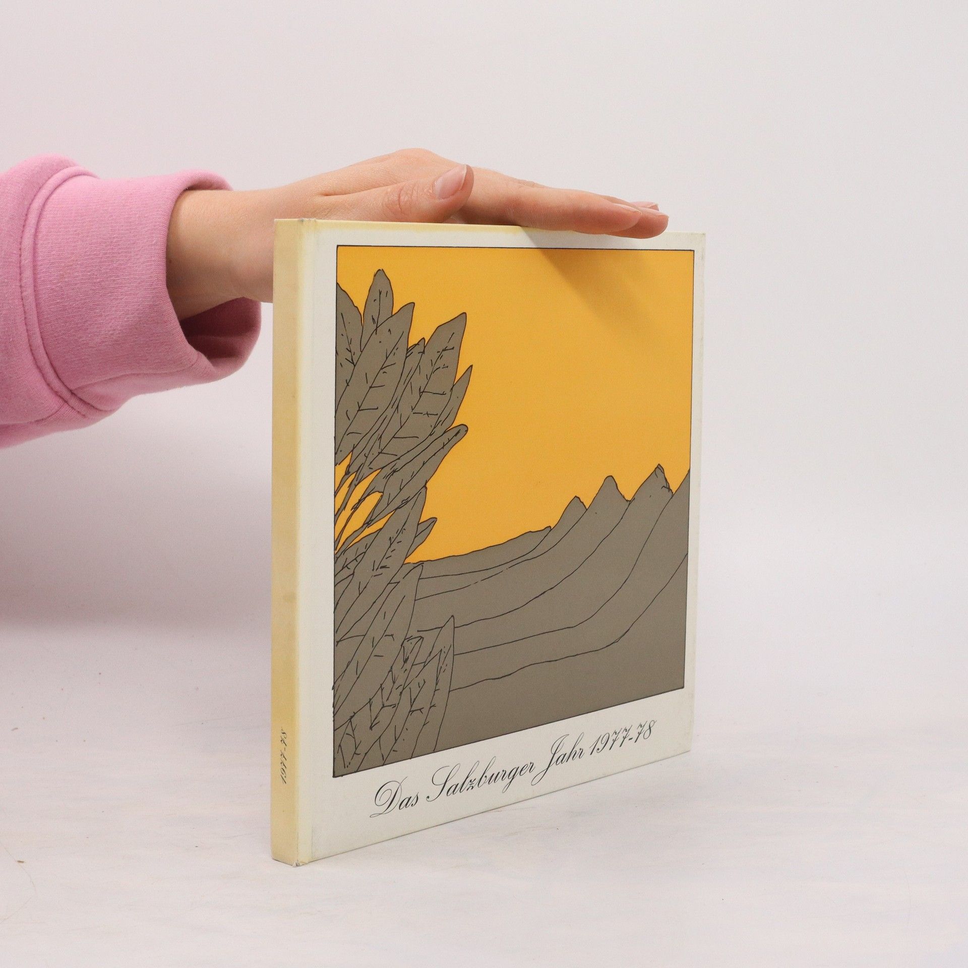 Collectif d'auteurs Das Salzburger Jahr 1977-78