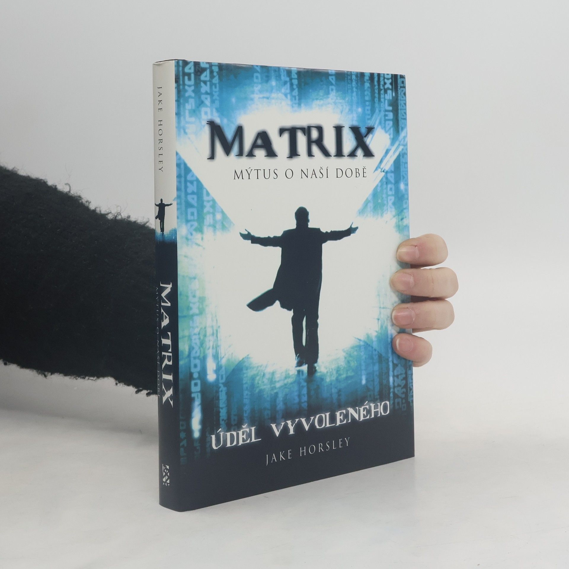 Matrix - mýtus o naší době : Úděl Vyvoleného