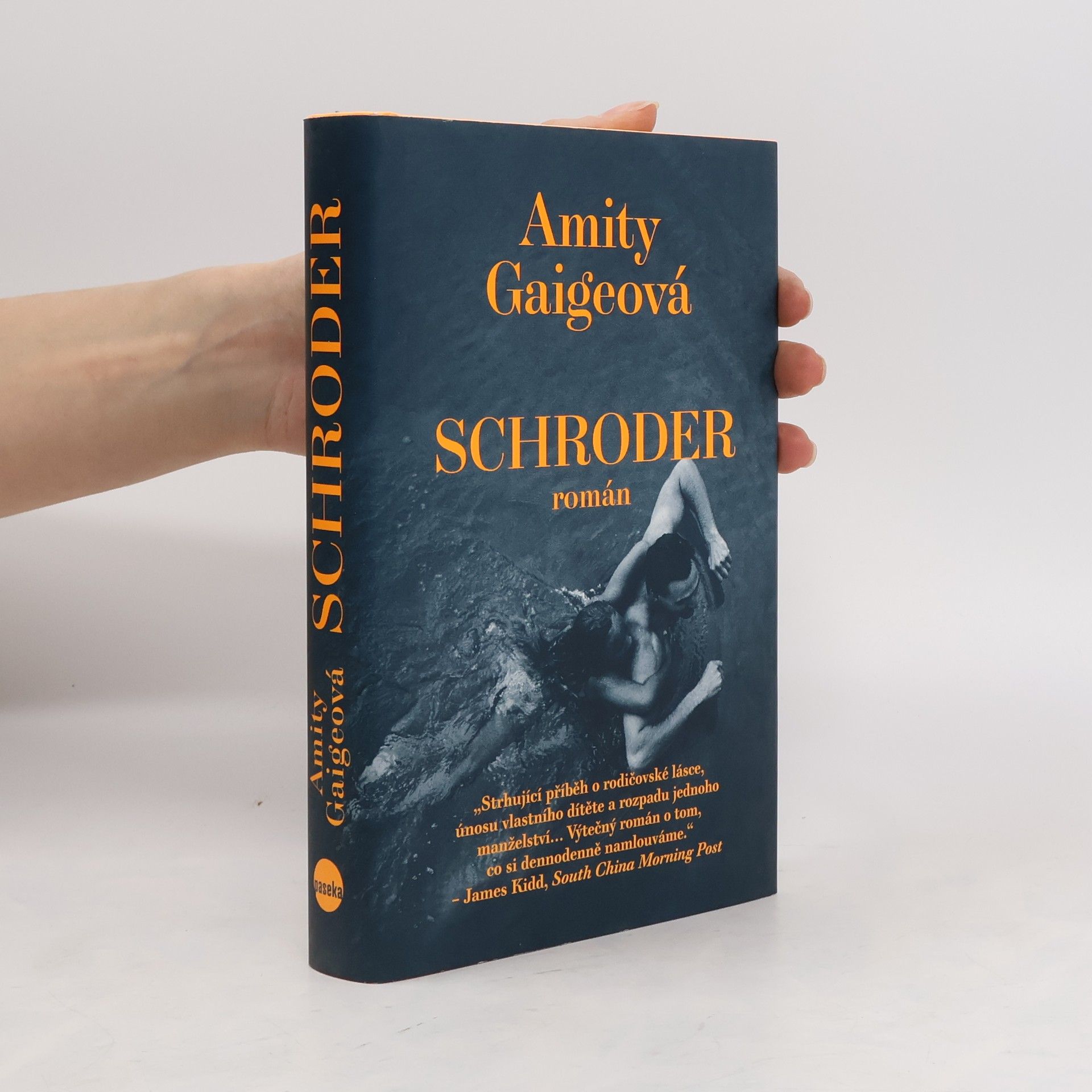 Amity Gaige Schroder
