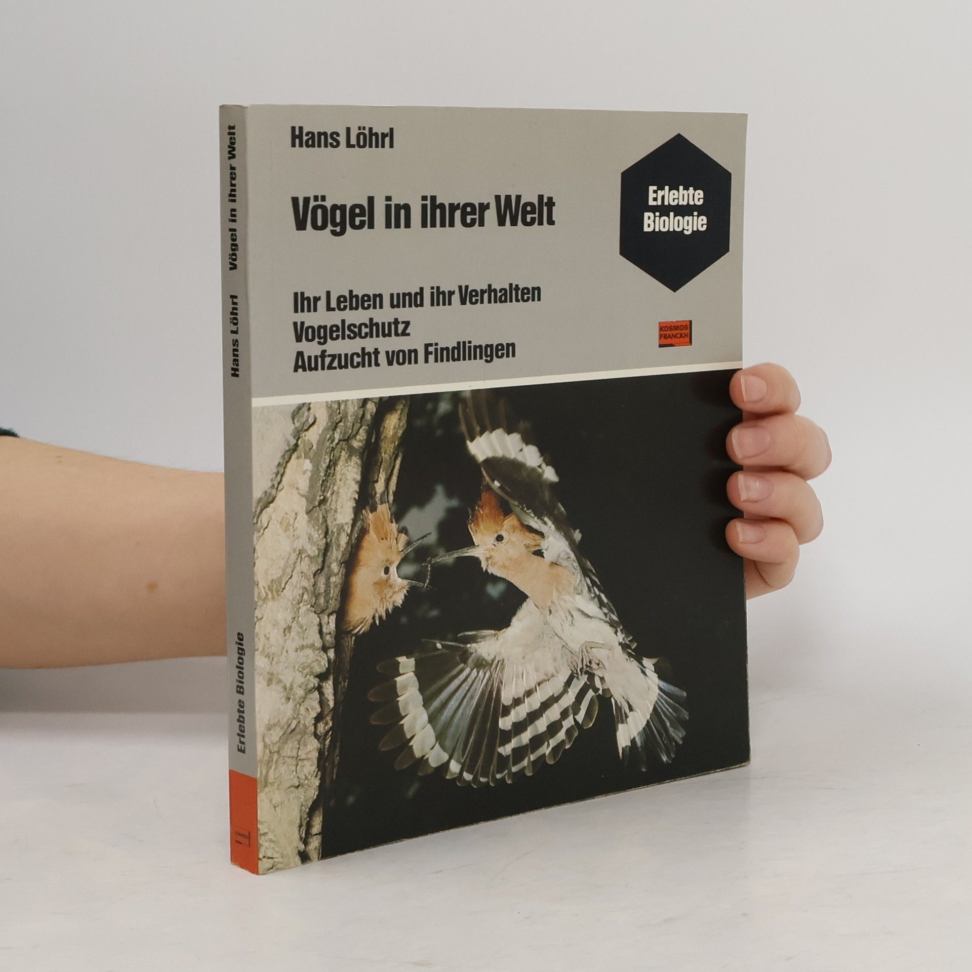 Hans Löhrl Vögel in ihrer Welt