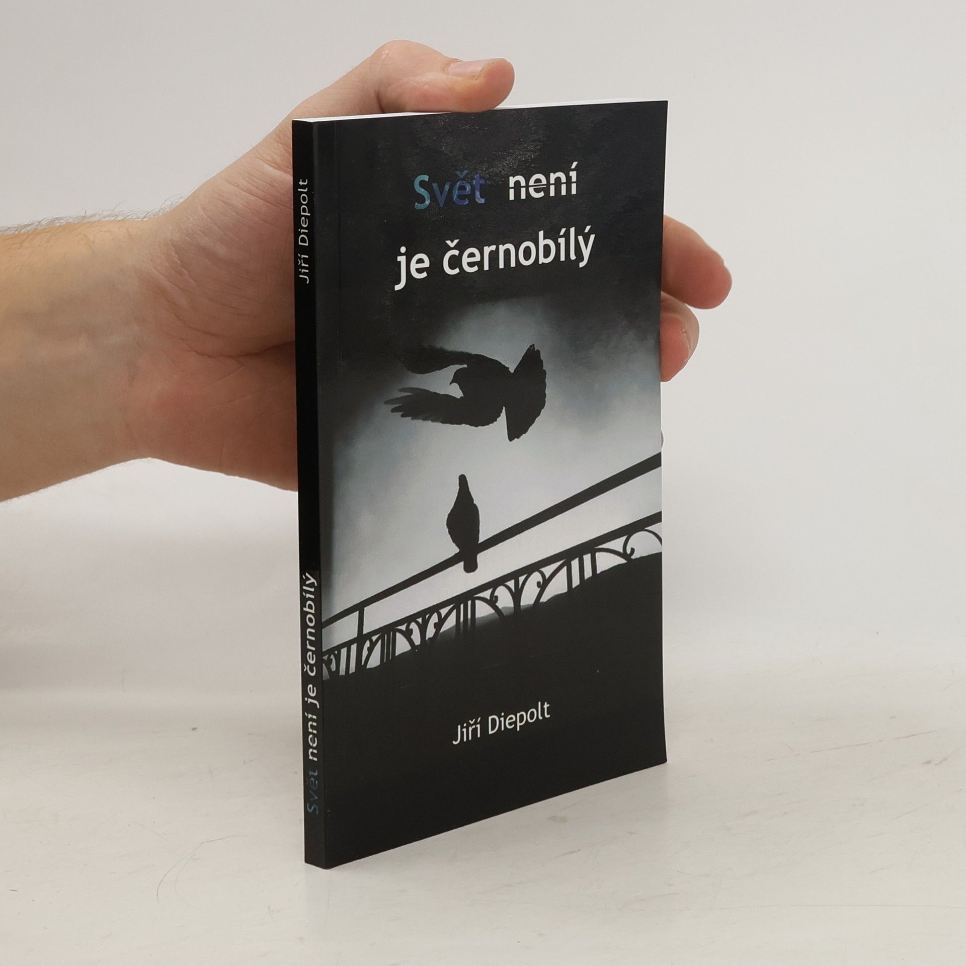Jiří Diepolt Svět není je černobílý
