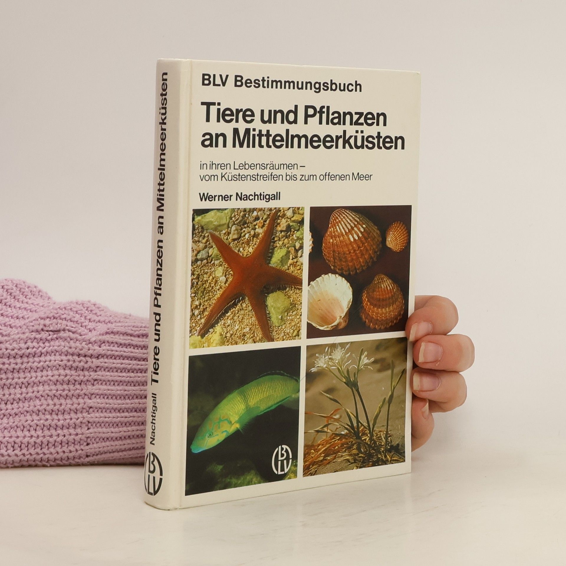 Werner Nachtigall Tiere und Pflanzen an Mittelmeerküsten