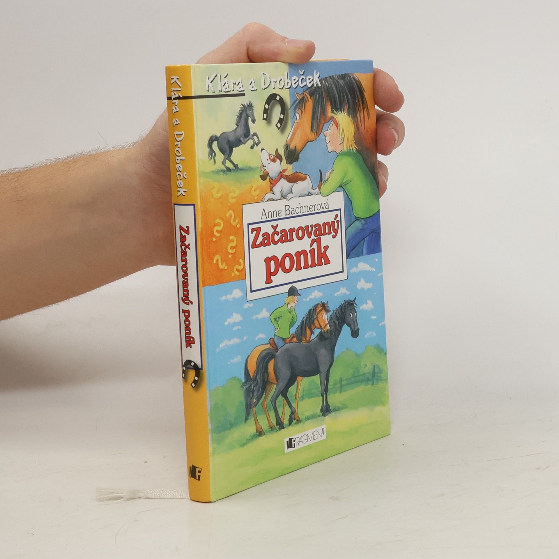 Anne Bachner Začarovaný poník